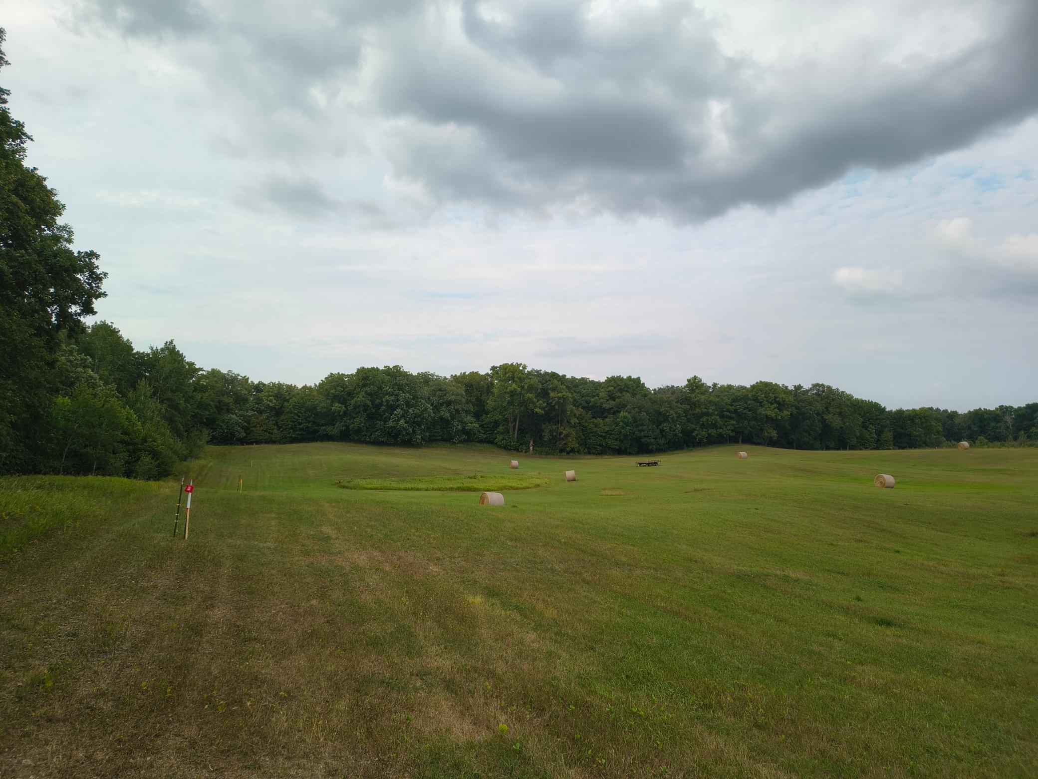 land for sale at 3401 Buckskin Road NE in Carlos, MN (photo 5 of 12)