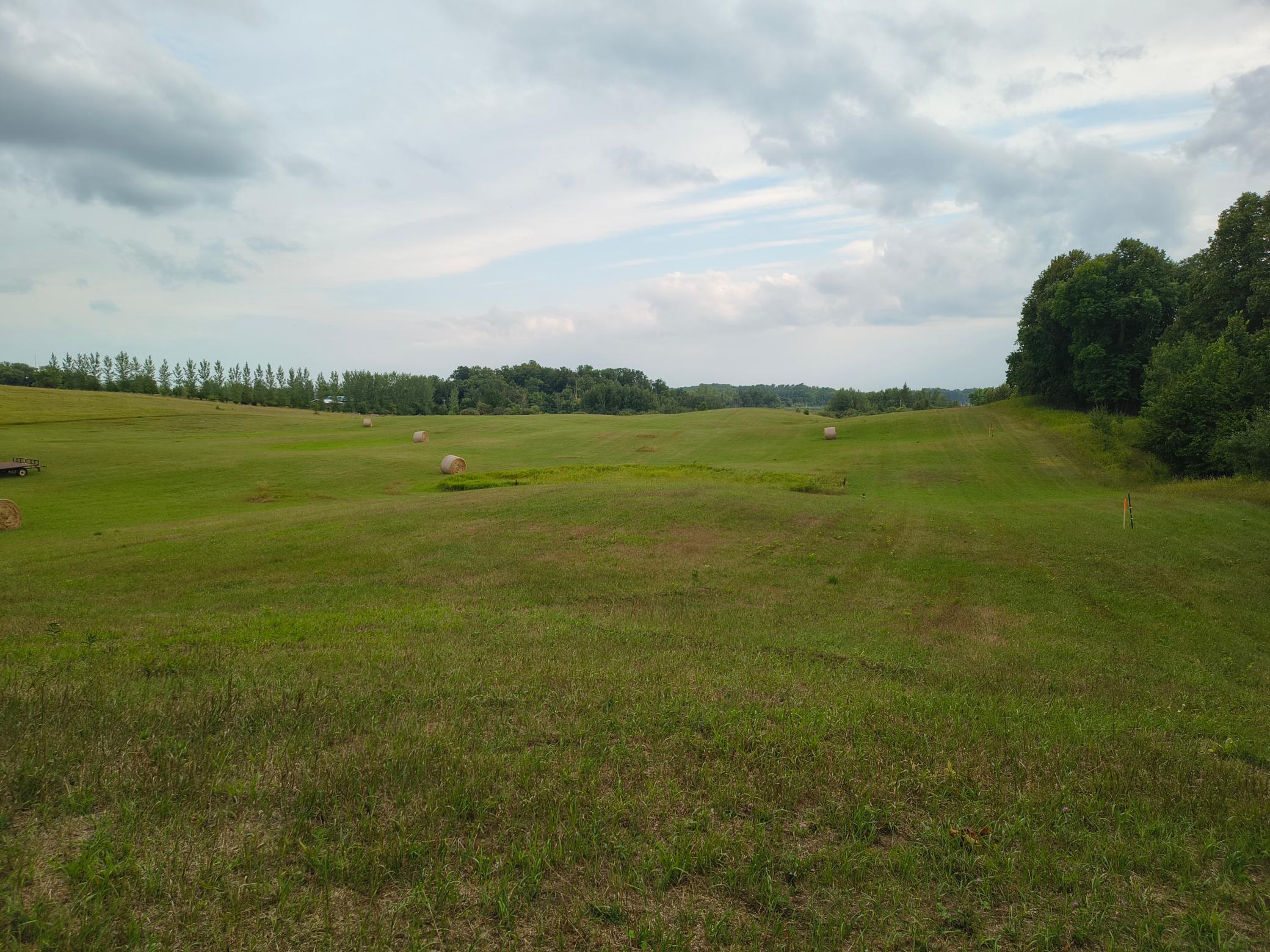 land for sale at 3401 Buckskin Road NE in Carlos, MN (photo 6 of 12)