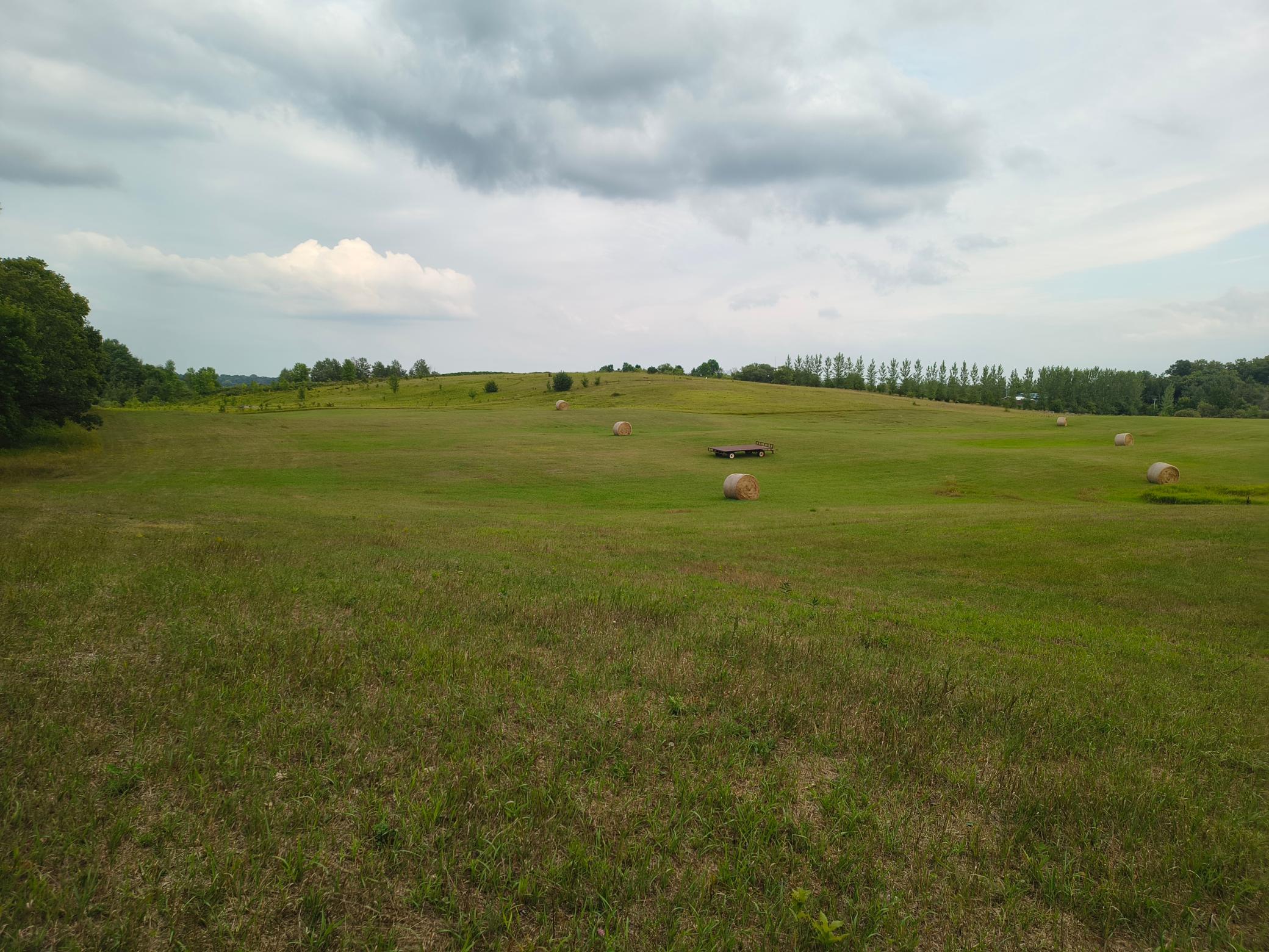 land for sale at 3401 Buckskin Road NE in Carlos, MN (photo 7 of 12)