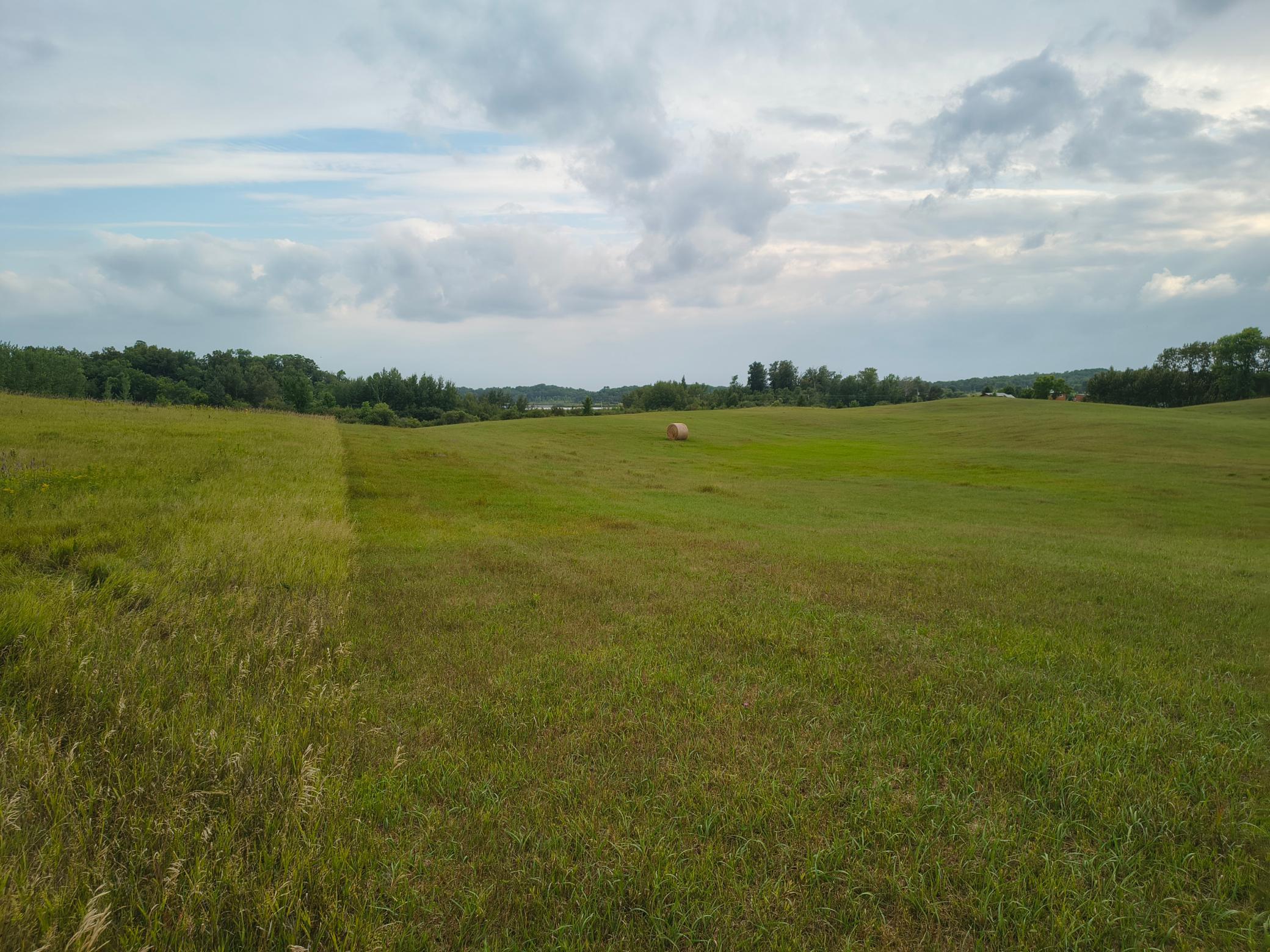land for sale at 3401 Buckskin Road NE in Carlos, MN (photo 8 of 12)
