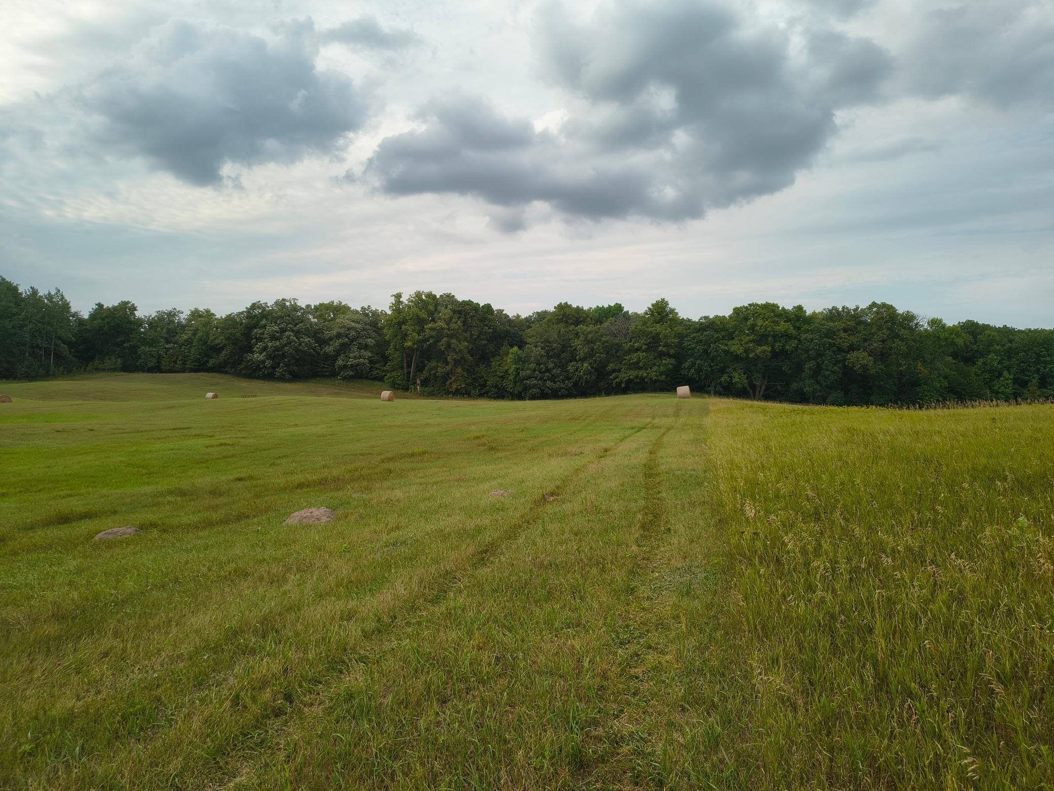 land for sale at 3401 Buckskin Road NE in Carlos, MN (photo 10 of 12)