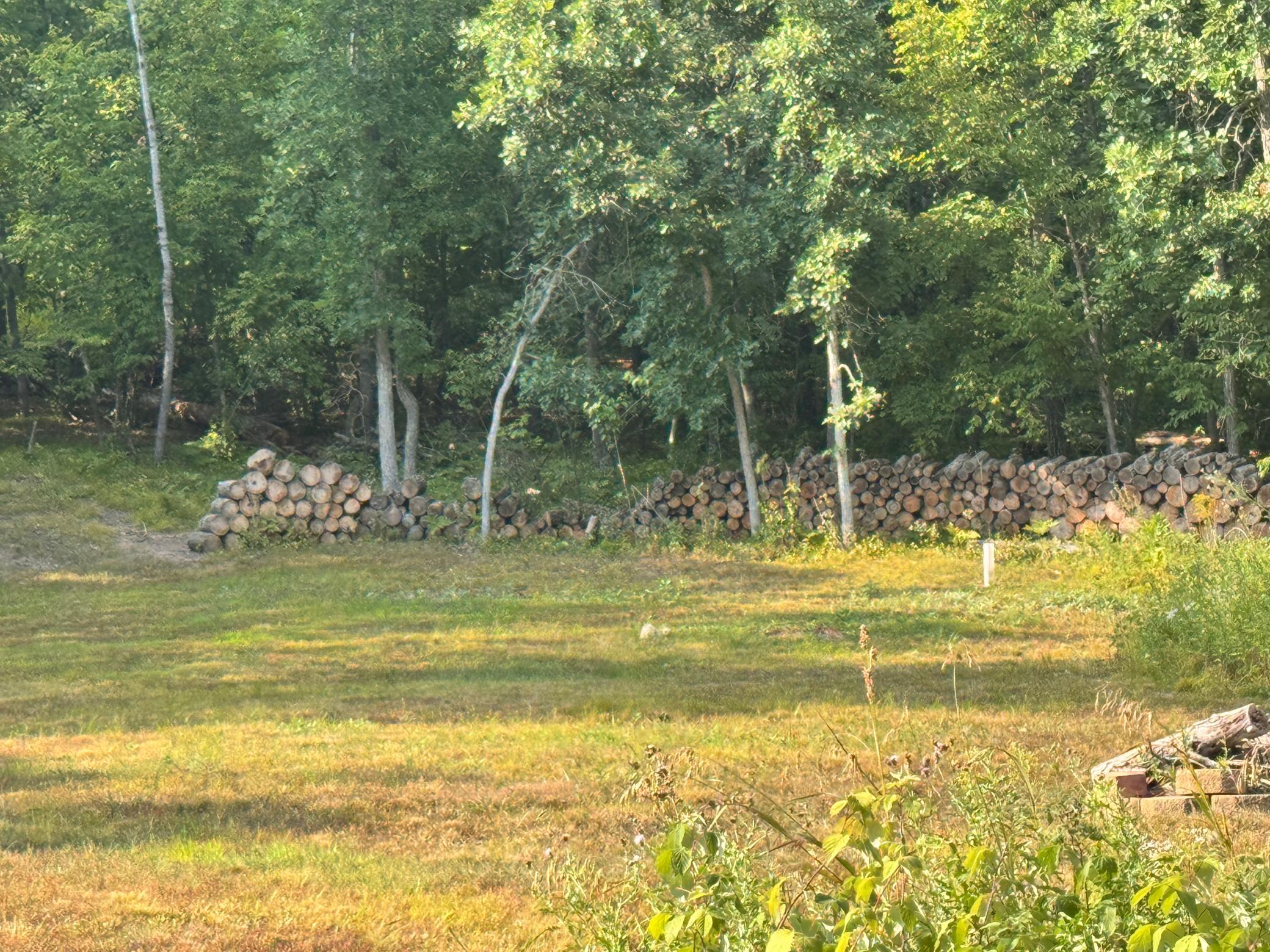 29890 Ranchette Drive, Pequot Lakes MN 56472 - Photo 10 of 14