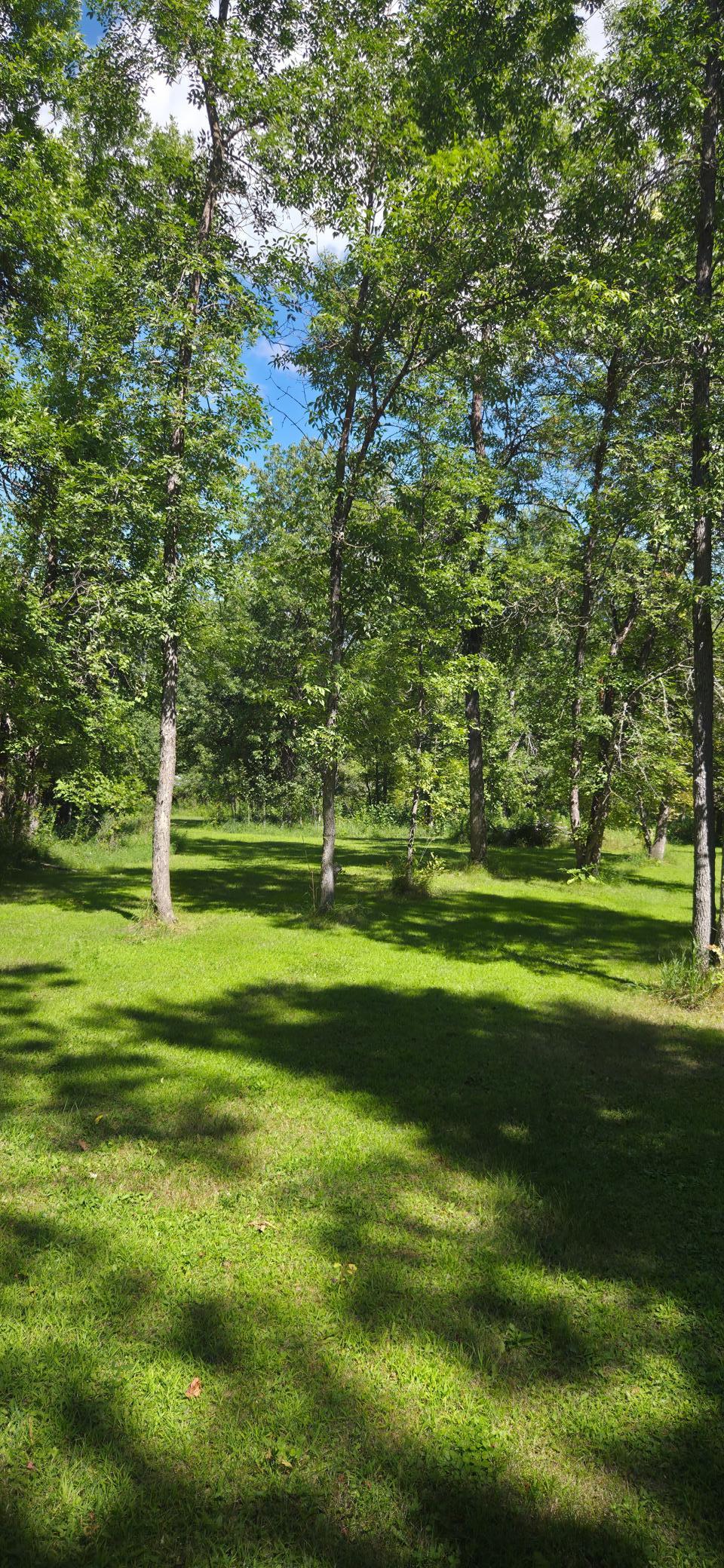 305 5th Avenue W, Federal Dam MN 56641 - Photo 2 of 3