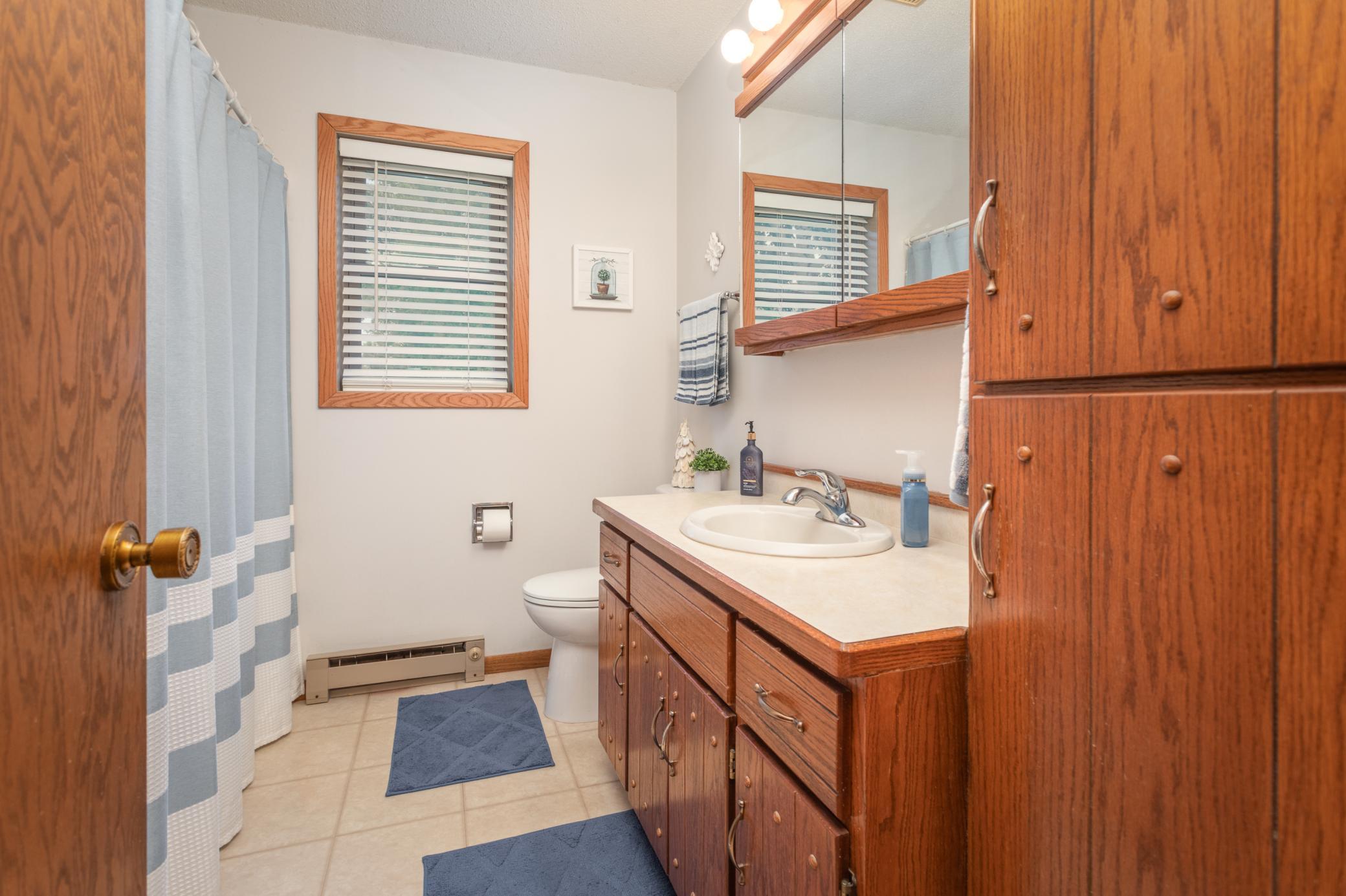 1984 townhouse for sale at 1223 Bridgeport Lane NW in Alexandria, MN — 2 bed, 2 bath (photo 11 of 25)
