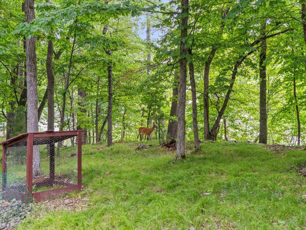 2003 single family home for sale at 7738 Lost Lake Road in Nisswa, MN — 3 bed, 3 bath (photo 4 of 42)