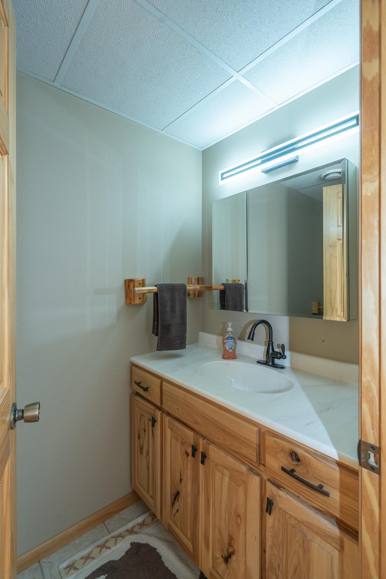 2003 single family home for sale at 10221 Timber Ridge Drive in Pillager, MN — 4 bed, 2 bath (photo 50 of 70)