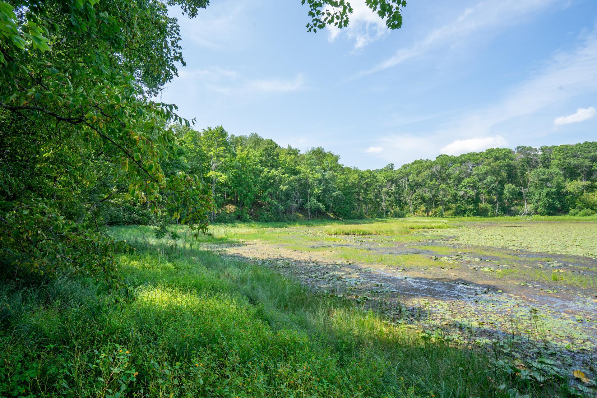 2003 single family home for sale at 10221 Timber Ridge Drive in Pillager, MN — 4 bed, 2 bath (photo 62 of 70)
