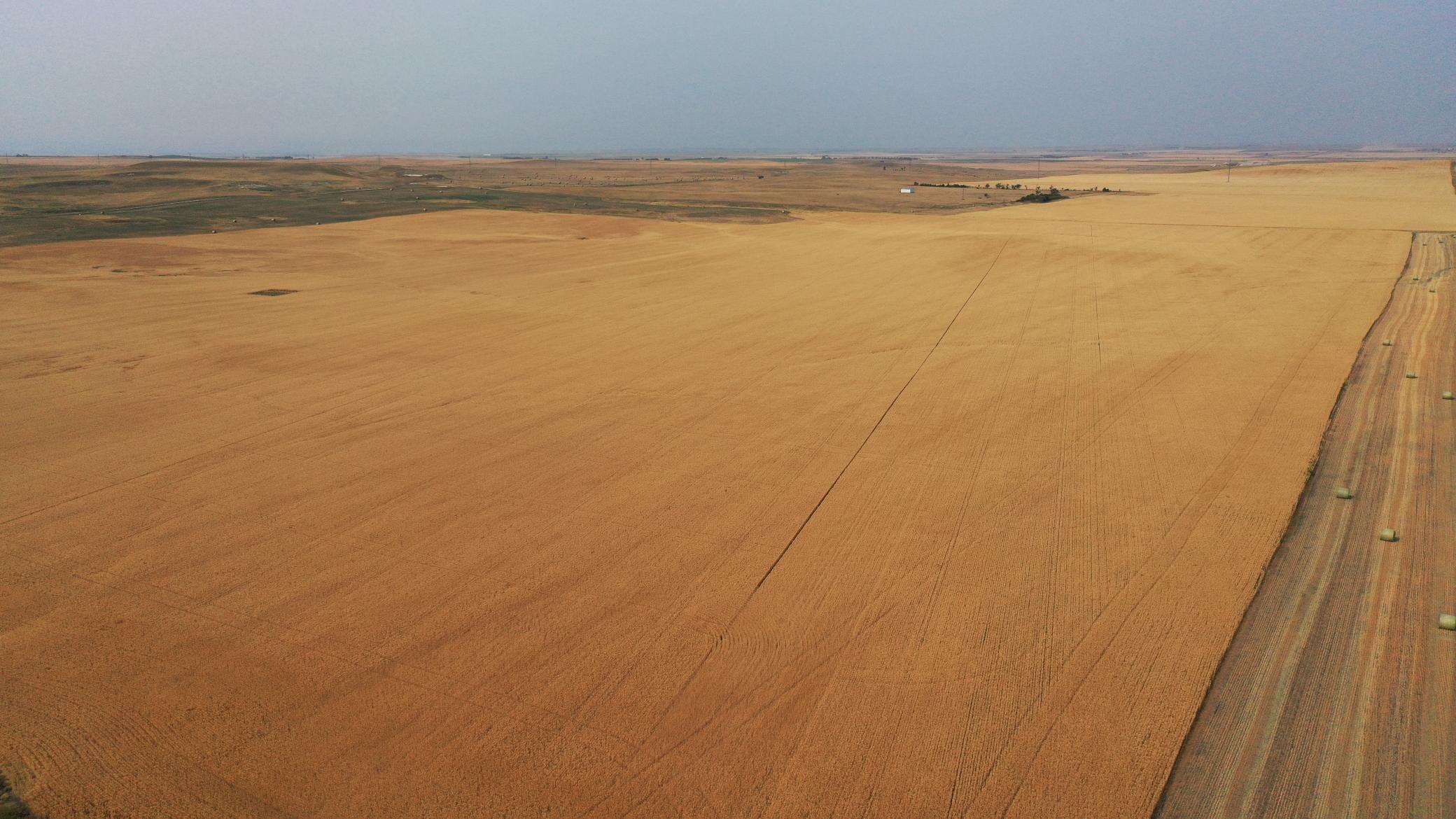 farm for sale at tbd 47th St SW in South Heart, ND (photo 2 of 24)