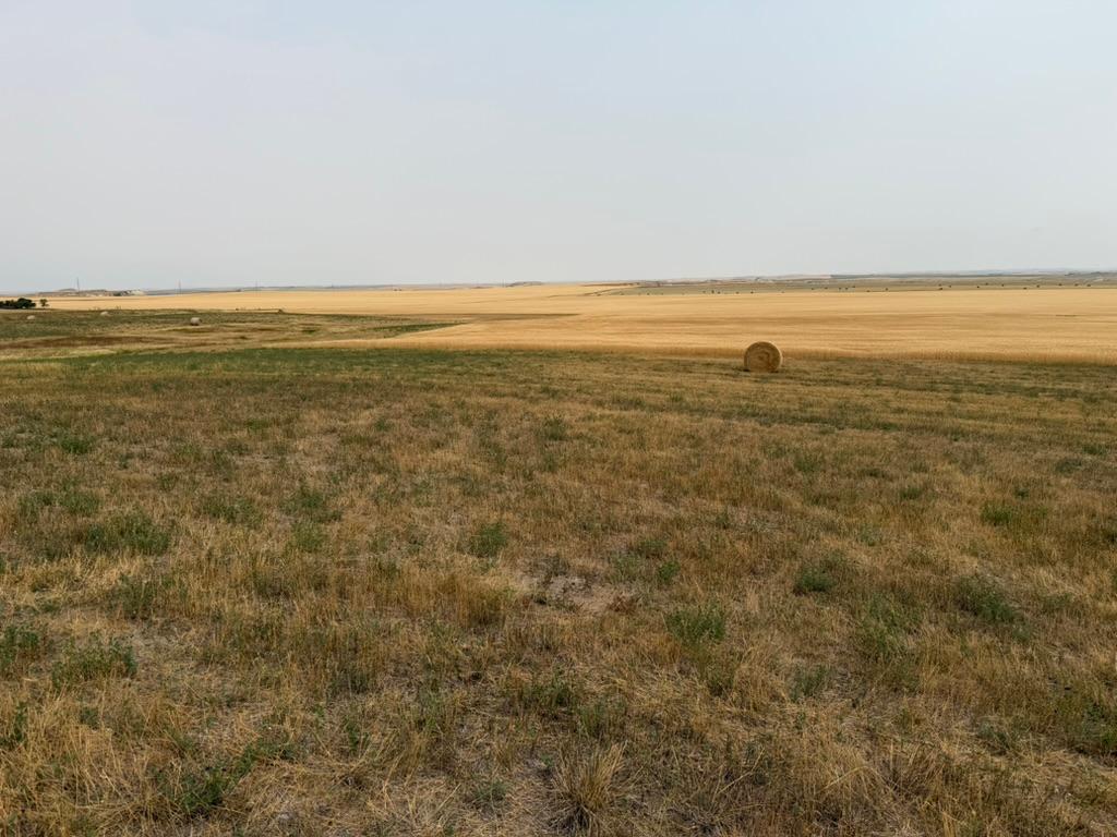 farm for sale at tbd 47th St SW in South Heart, ND (photo 11 of 24)