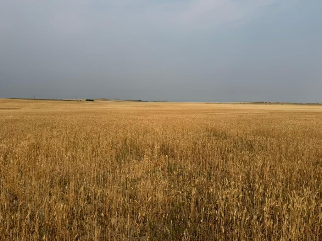 farm for sale at tbd 47th St SW in South Heart, ND (photo 12 of 24)
