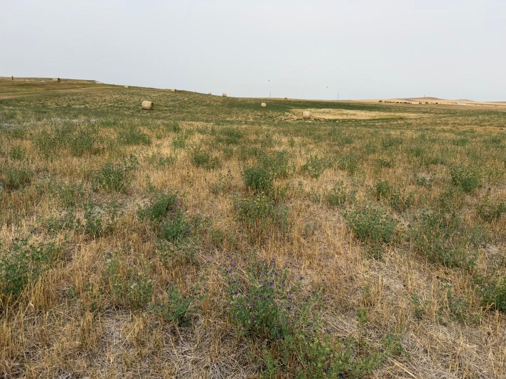 farm for sale at tbd 47th St SW in South Heart, ND (photo 13 of 24)