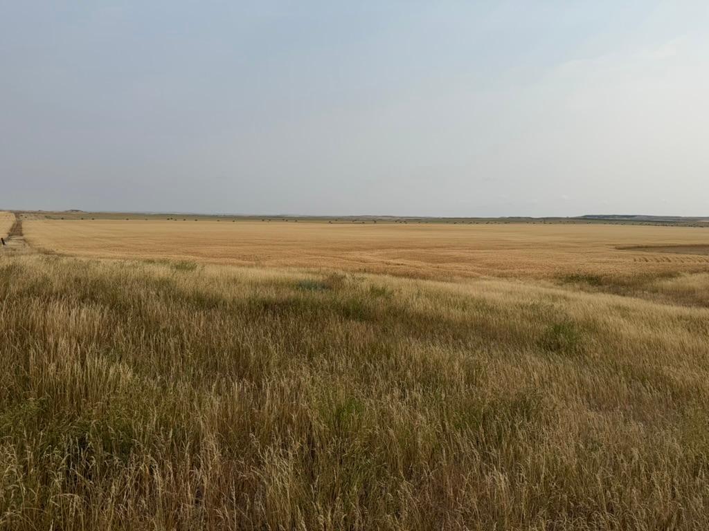 farm for sale at tbd 47th St SW in South Heart, ND (photo 16 of 24)