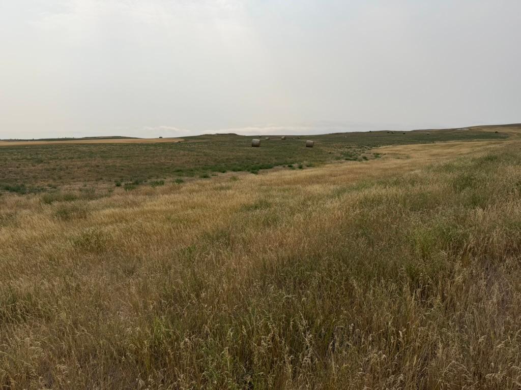 farm for sale at tbd 47th St SW in South Heart, ND (photo 17 of 24)