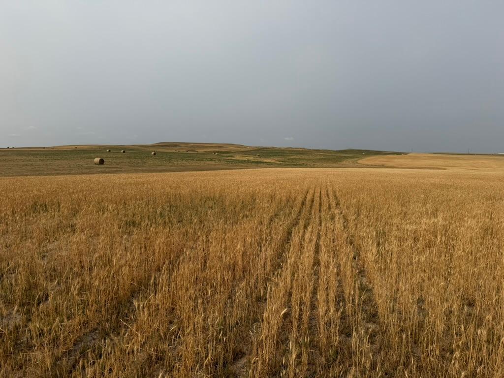 farm for sale at tbd 47th St SW in South Heart, ND (photo 18 of 24)