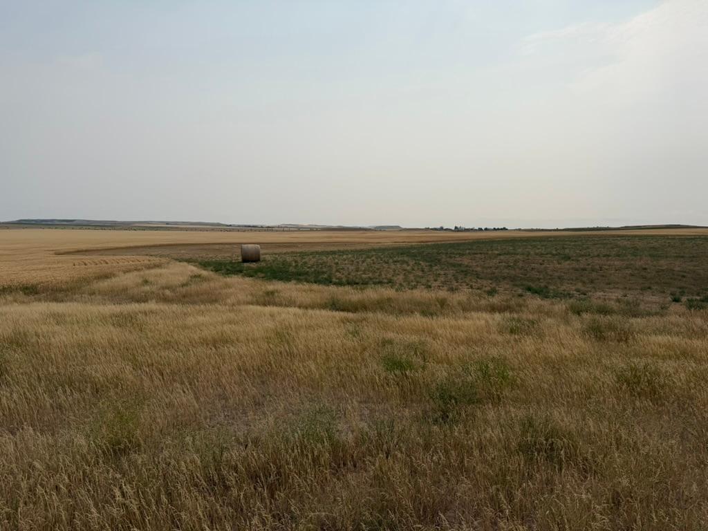 farm for sale at tbd 47th St SW in South Heart, ND (photo 21 of 24)