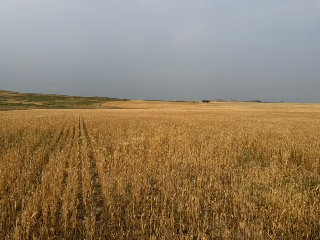farm for sale at tbd 47th St SW in South Heart, ND (photo 22 of 24)
