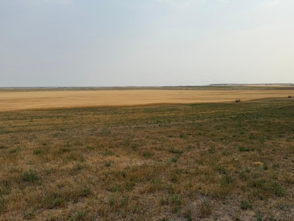 farm for sale at tbd 47th St SW in South Heart, ND (photo 24 of 24)