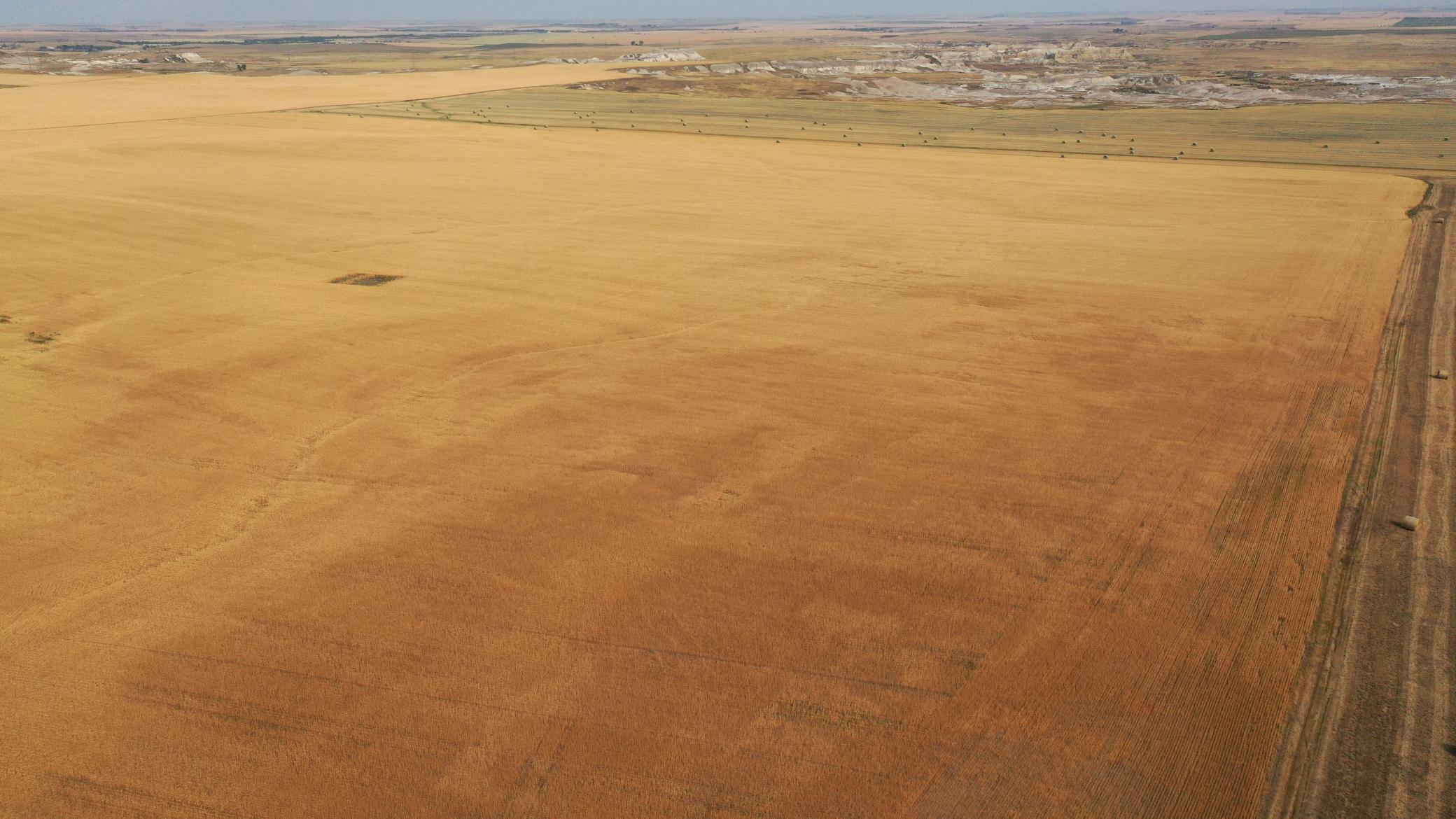 farm for sale at tbd 47th St SW in South Heart, ND (photo 5 of 24)