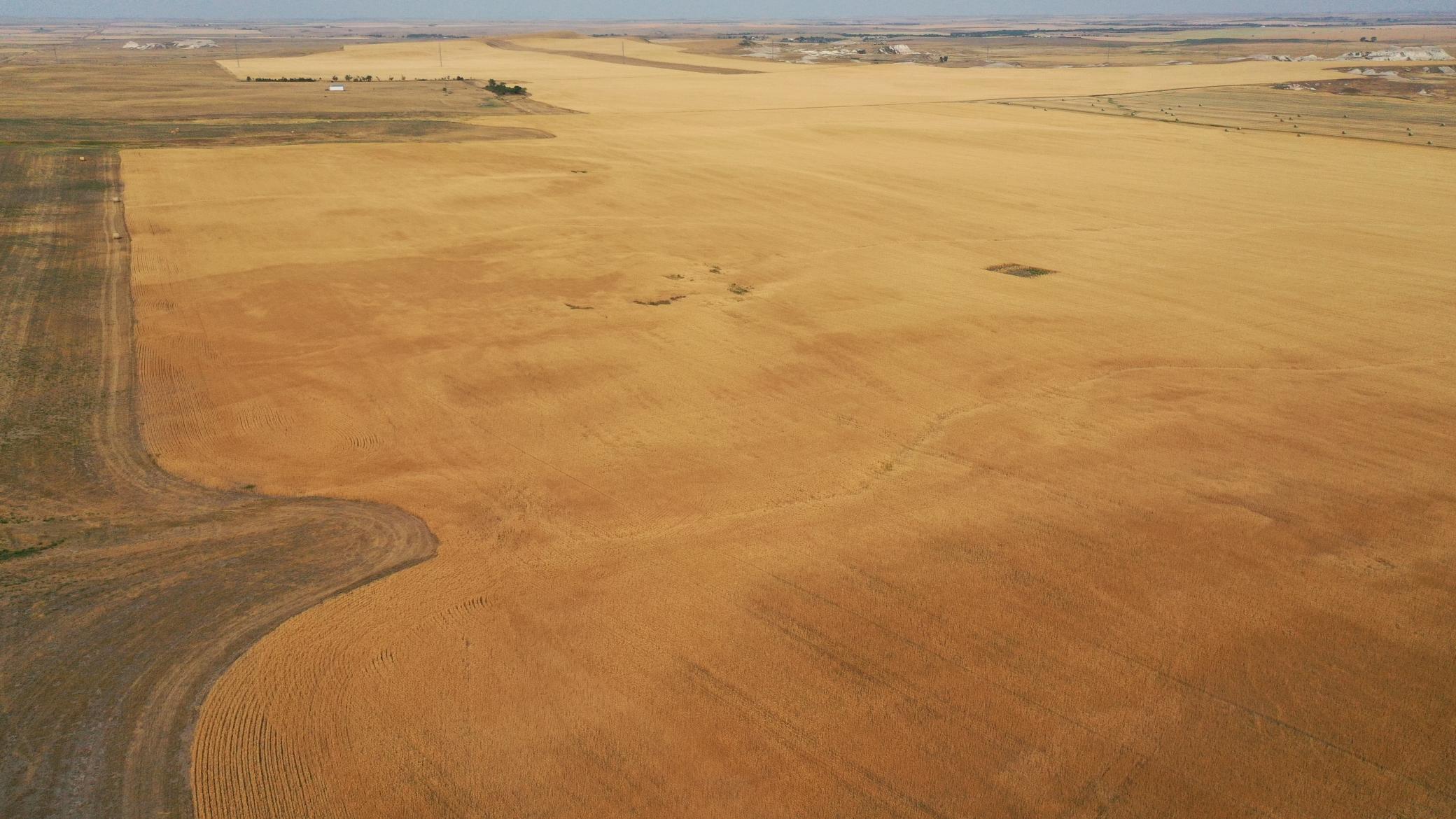 farm for sale at tbd 47th St SW in South Heart, ND (photo 6 of 24)