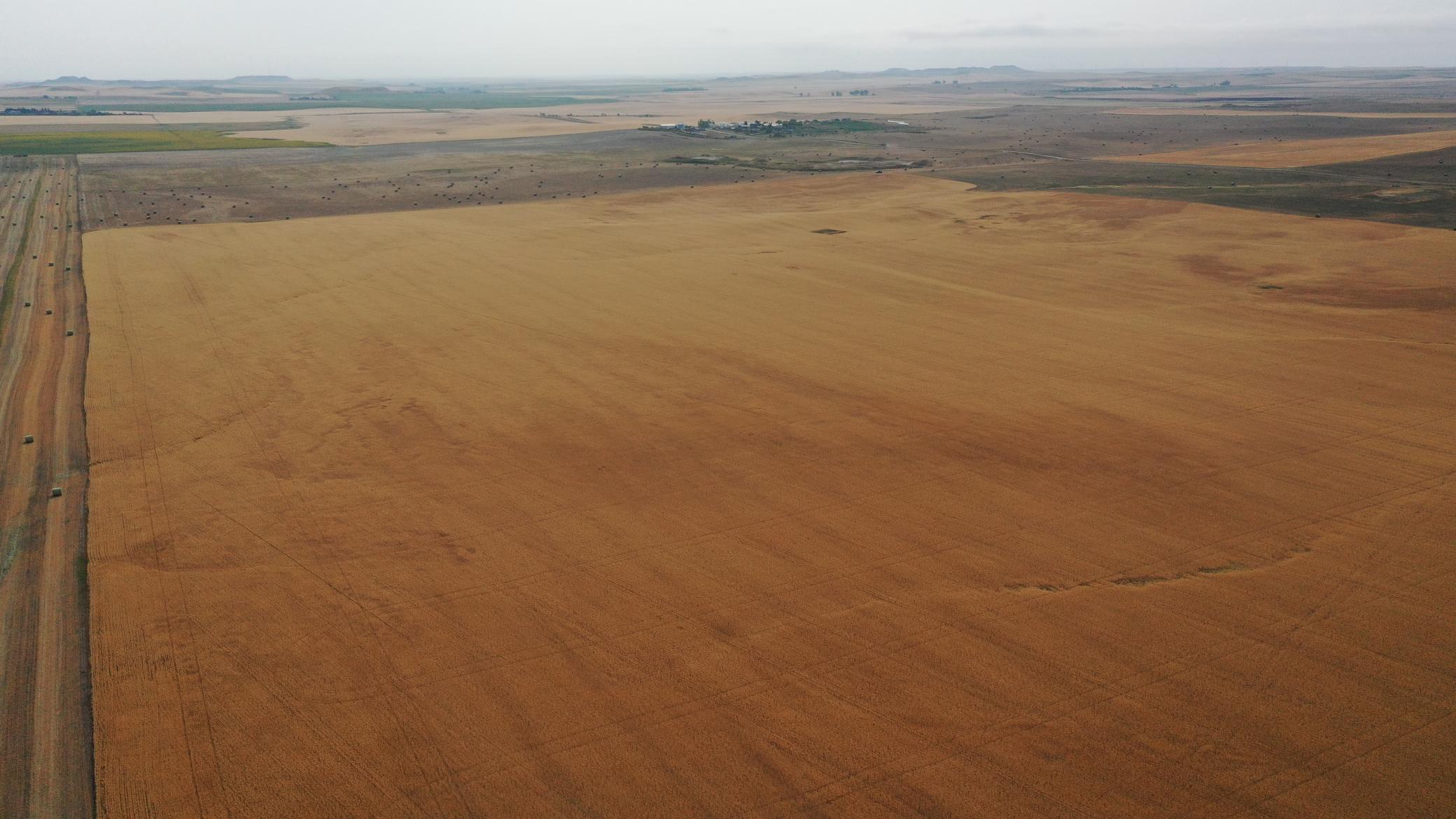 farm for sale at tbd 47th St SW in South Heart, ND (photo 8 of 24)