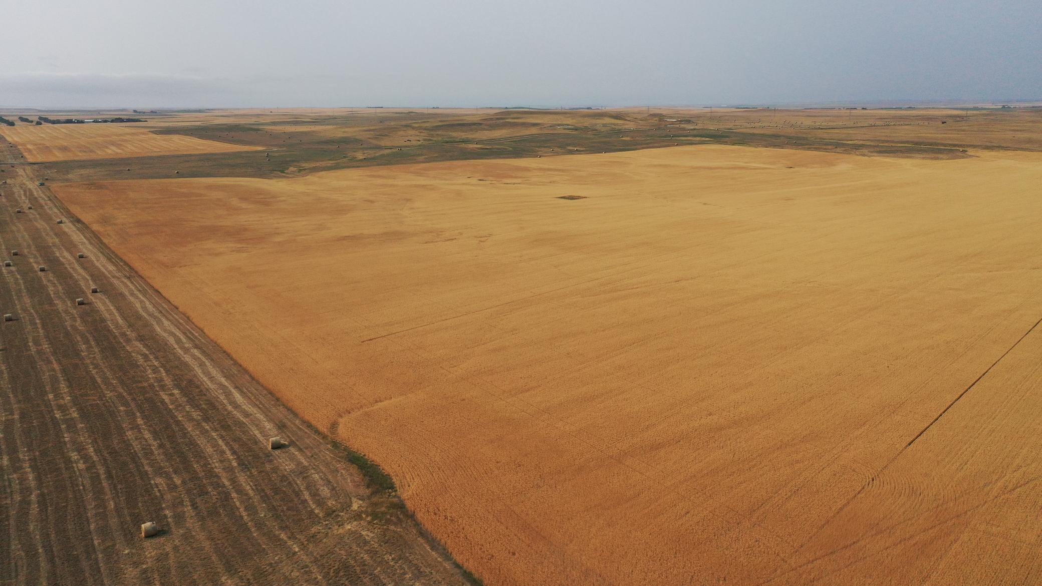 farm for sale at tbd 47th St SW in South Heart, ND (photo 9 of 24)