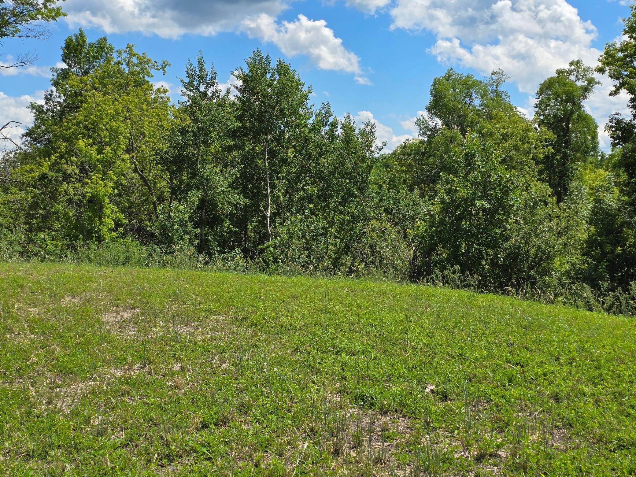 land for sale at 1 Branch Creek Road in Detroit Lakes, MN (photo 17 of 21)