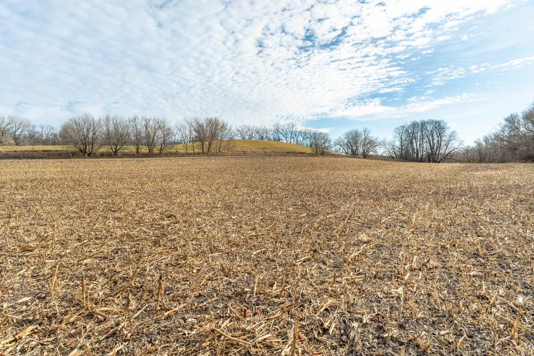 land for sale at TBD 280th Avenue in Underwood, MN (photo 11 of 32)