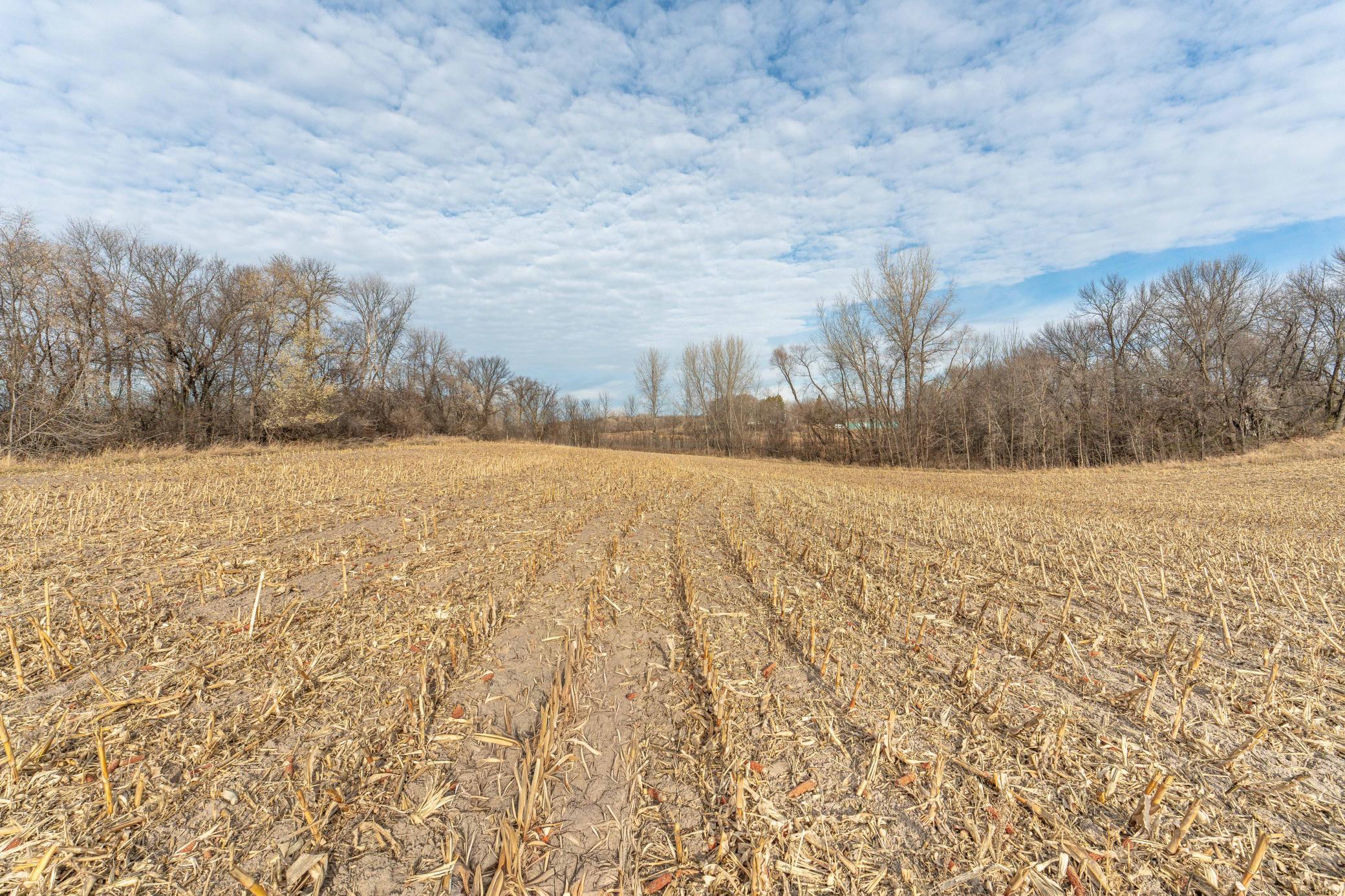 land for sale at TBD 280th Avenue in Underwood, MN (photo 12 of 32)