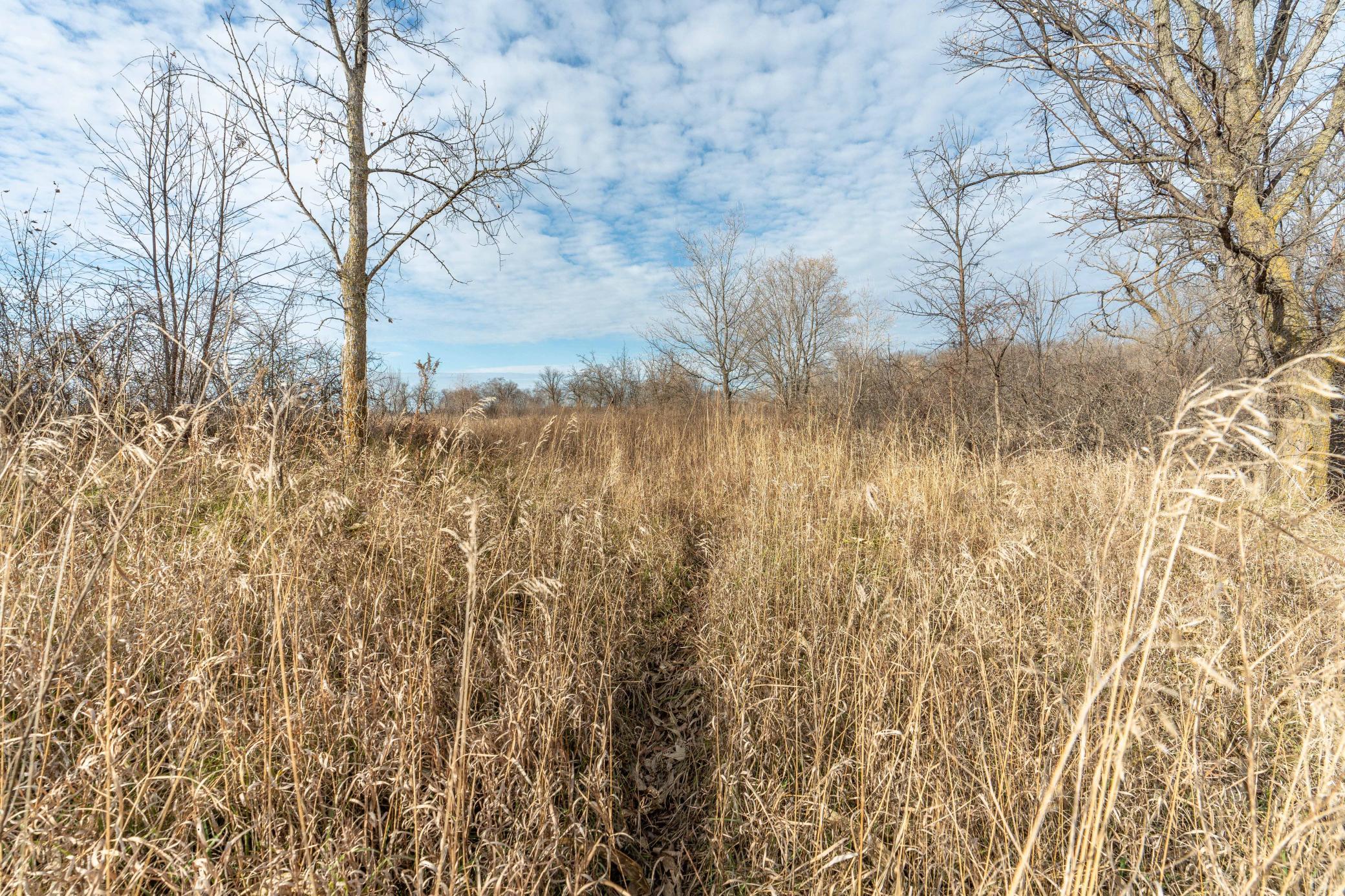 land for sale at TBD 280th Avenue in Underwood, MN (photo 13 of 32)