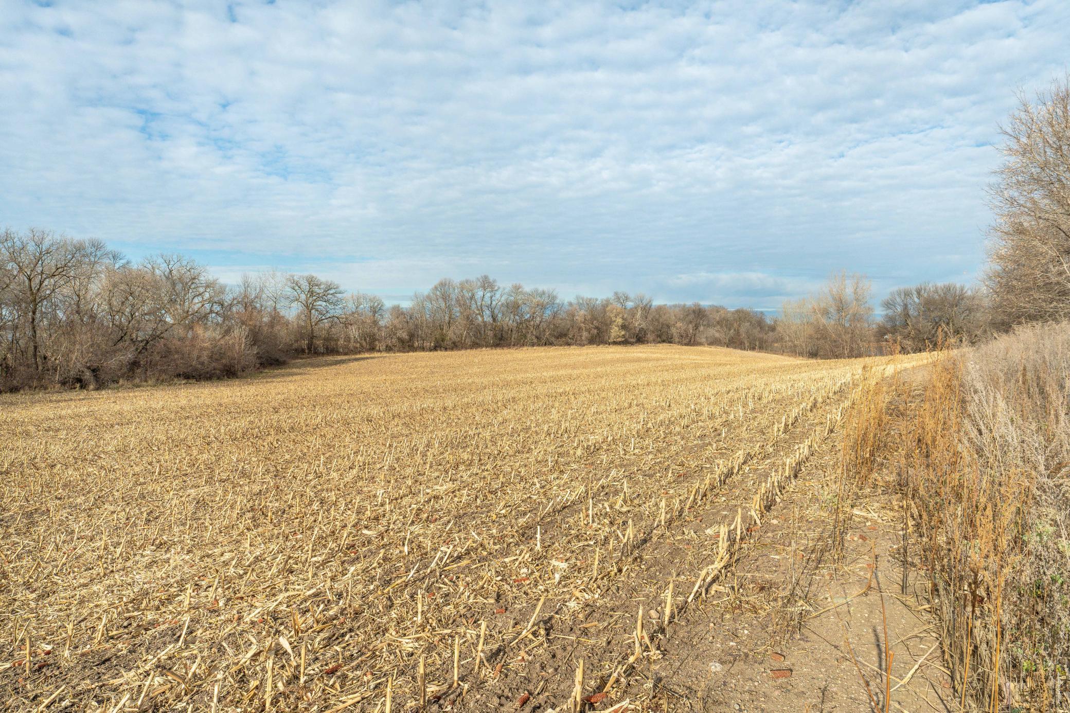 land for sale at TBD 280th Avenue in Underwood, MN (photo 8 of 32)