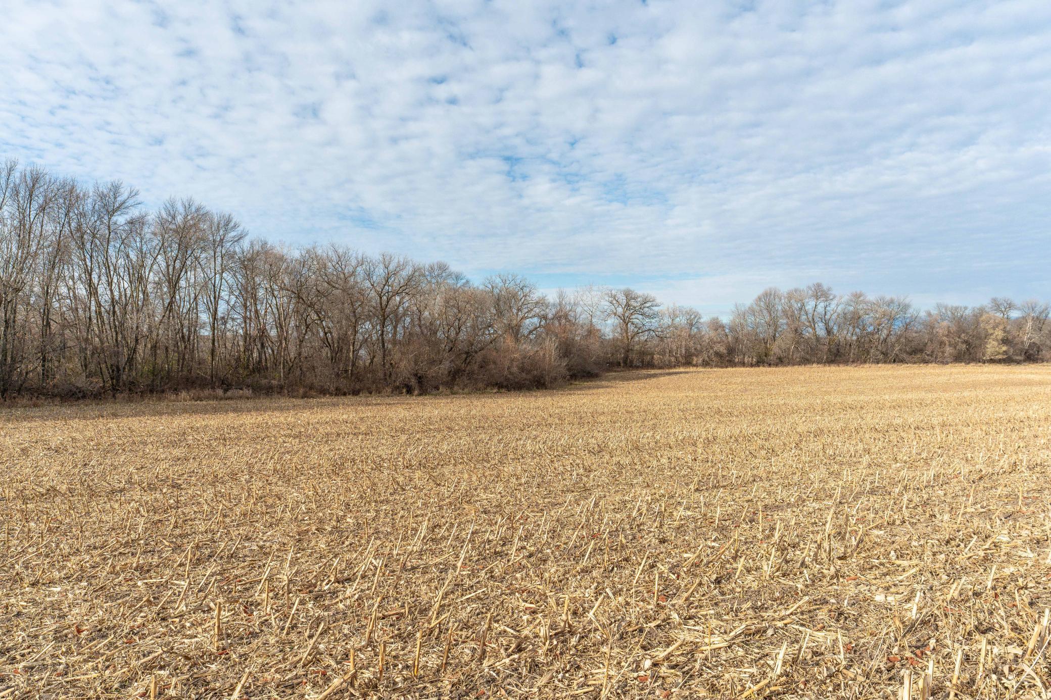 land for sale at TBD 280th Avenue in Underwood, MN (photo 9 of 32)