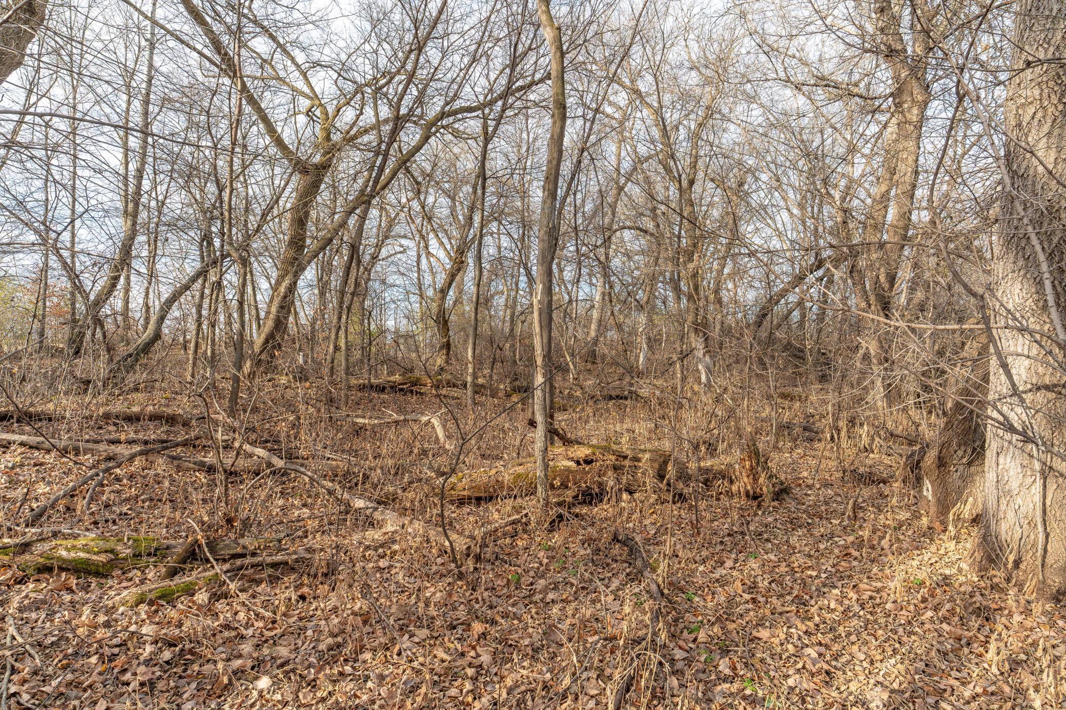 land for sale at TBD 280th Avenue in Underwood, MN (photo 10 of 32)