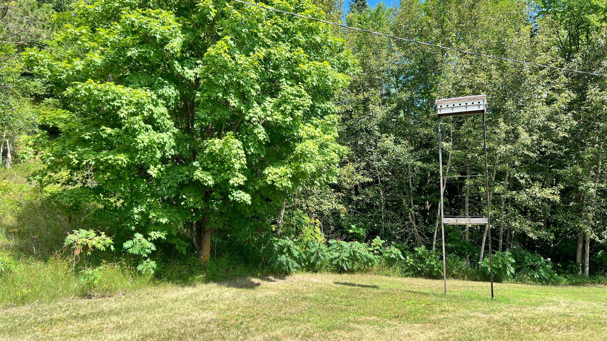 1971 land for sale at 39589 Elbow Lane in Waubun, MN (photo 7 of 26)