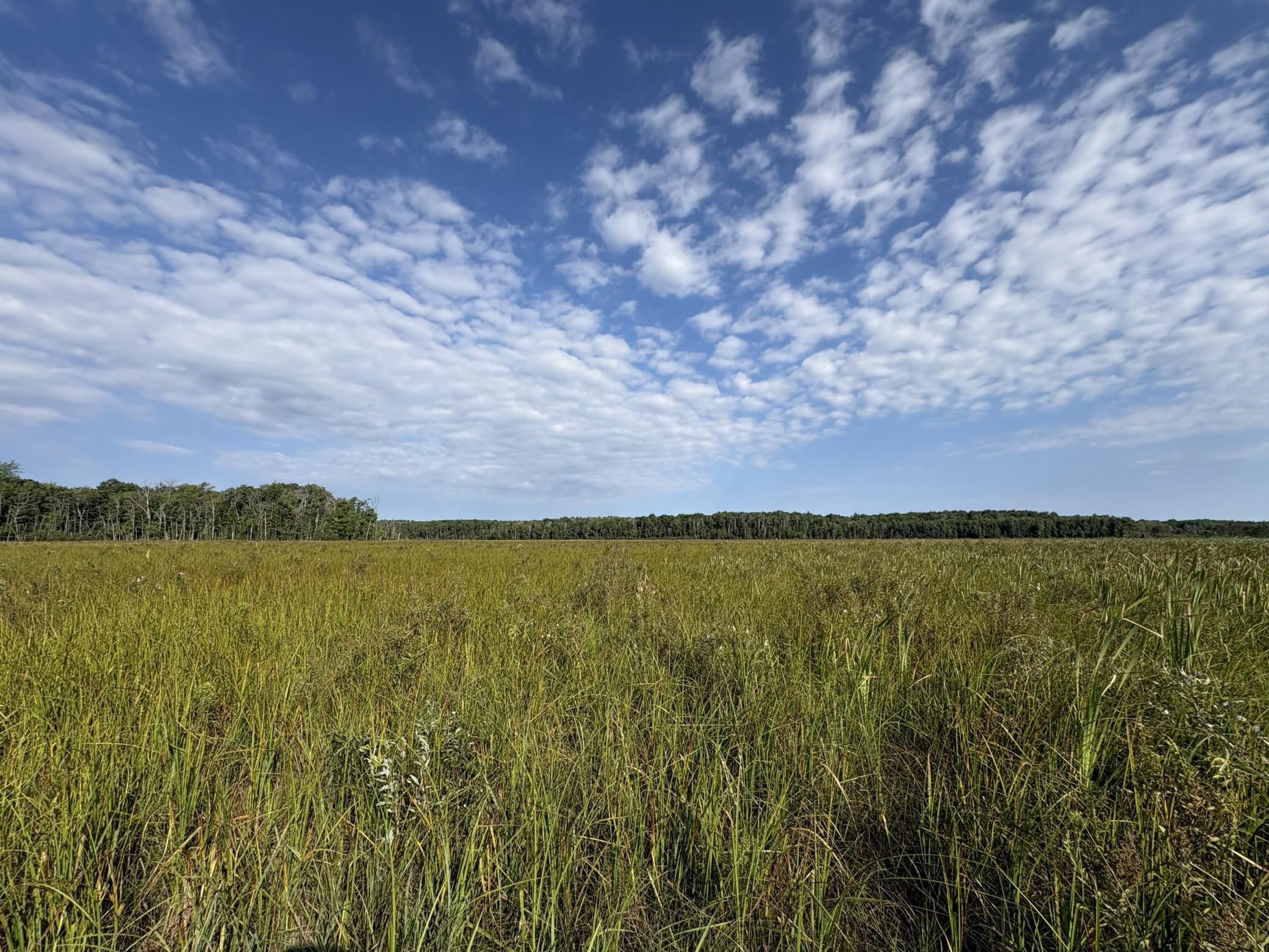 land for sale at XXX Meadowview Road in Brainerd, MN