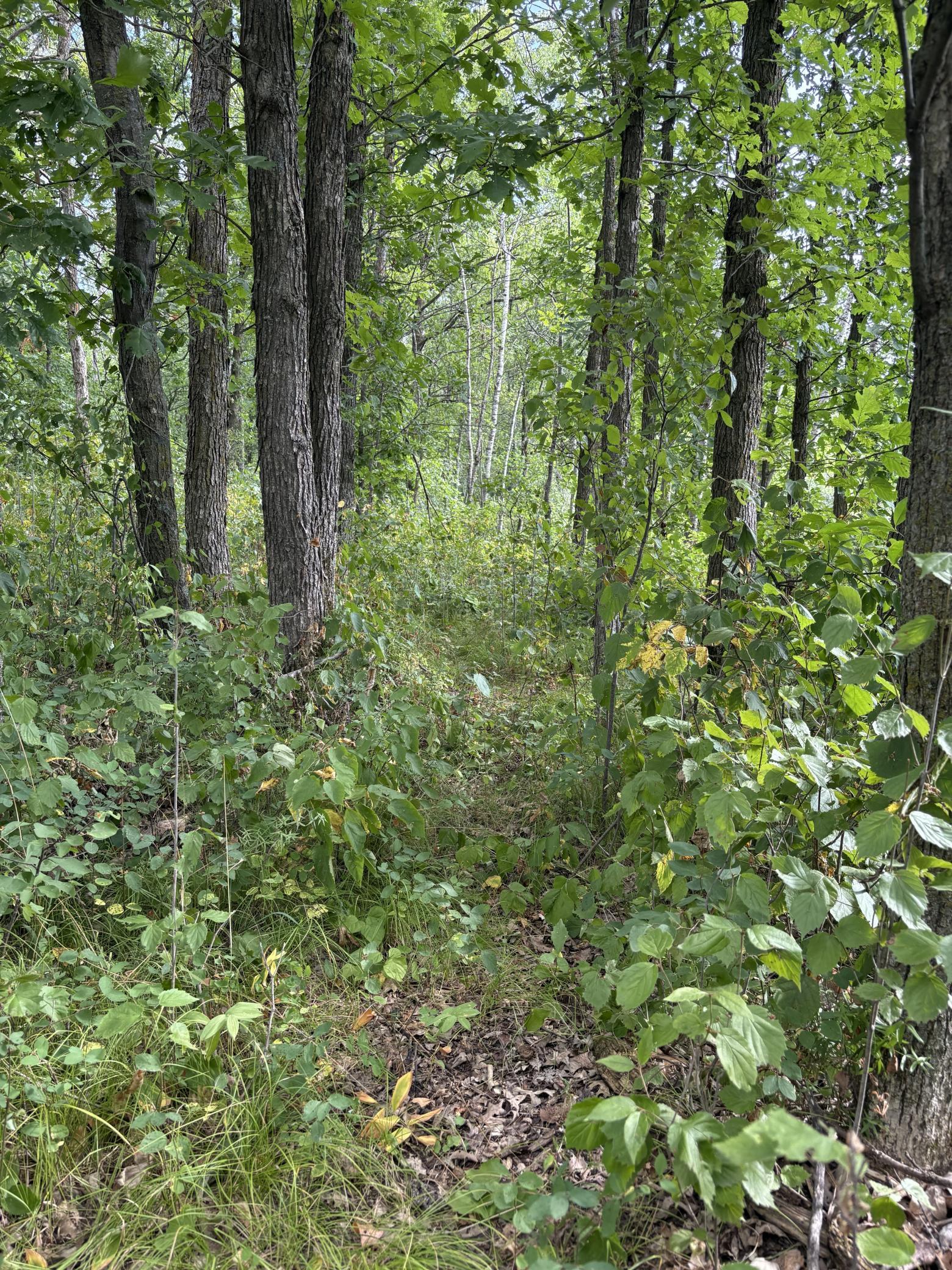 land for sale at XXX Meadowview Road in Brainerd, MN (photo 3 of 6)