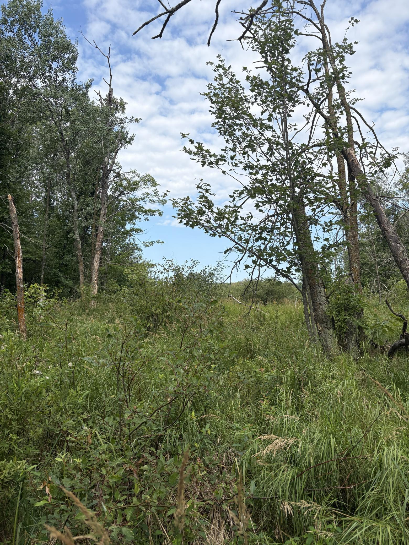 land for sale at XXX Meadowview Road in Brainerd, MN (photo 5 of 6)