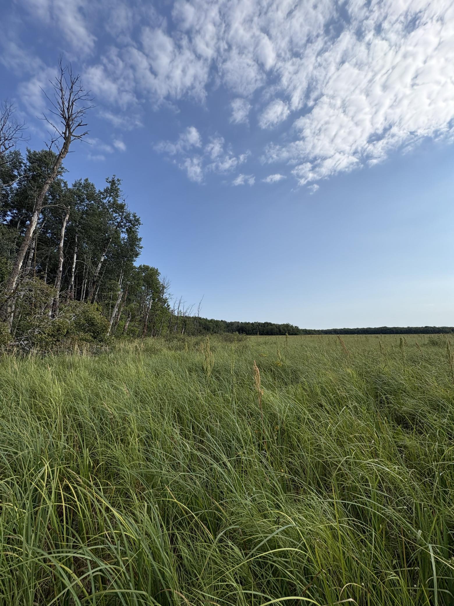 land for sale at XXX Meadowview Road in Brainerd, MN (photo 6 of 6)