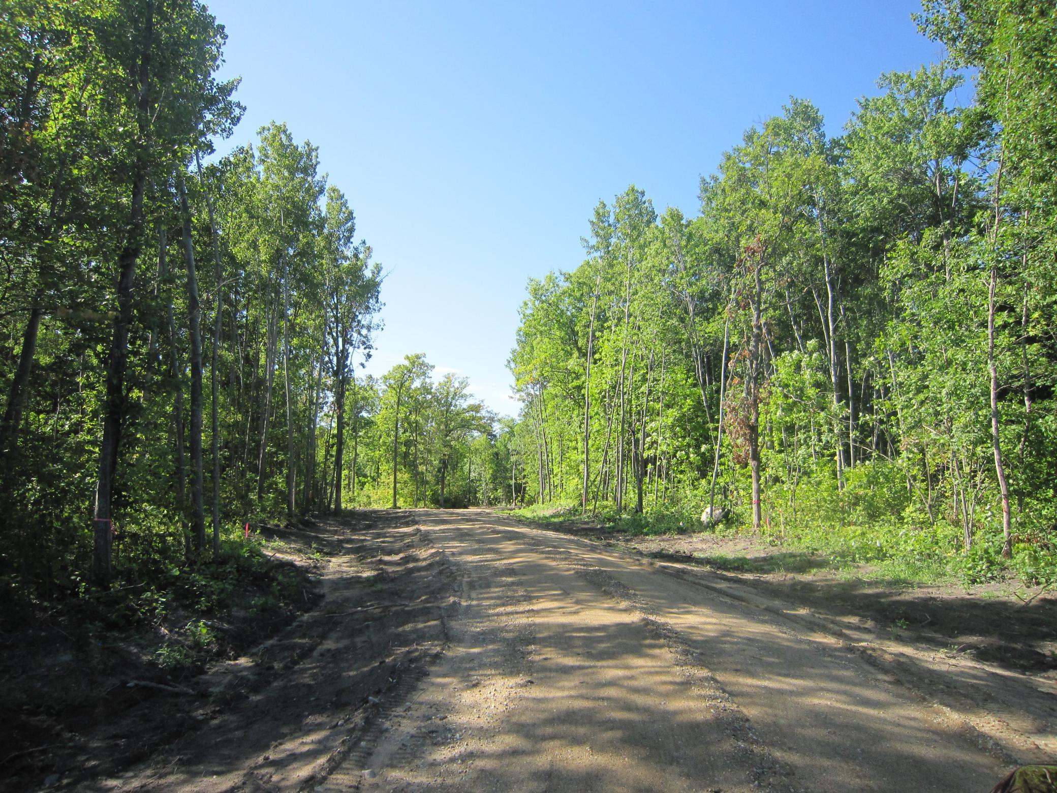 land for sale at Lot 3 Blk 1 Parklands Lane NW in Laporte, MN (photo 9 of 11)