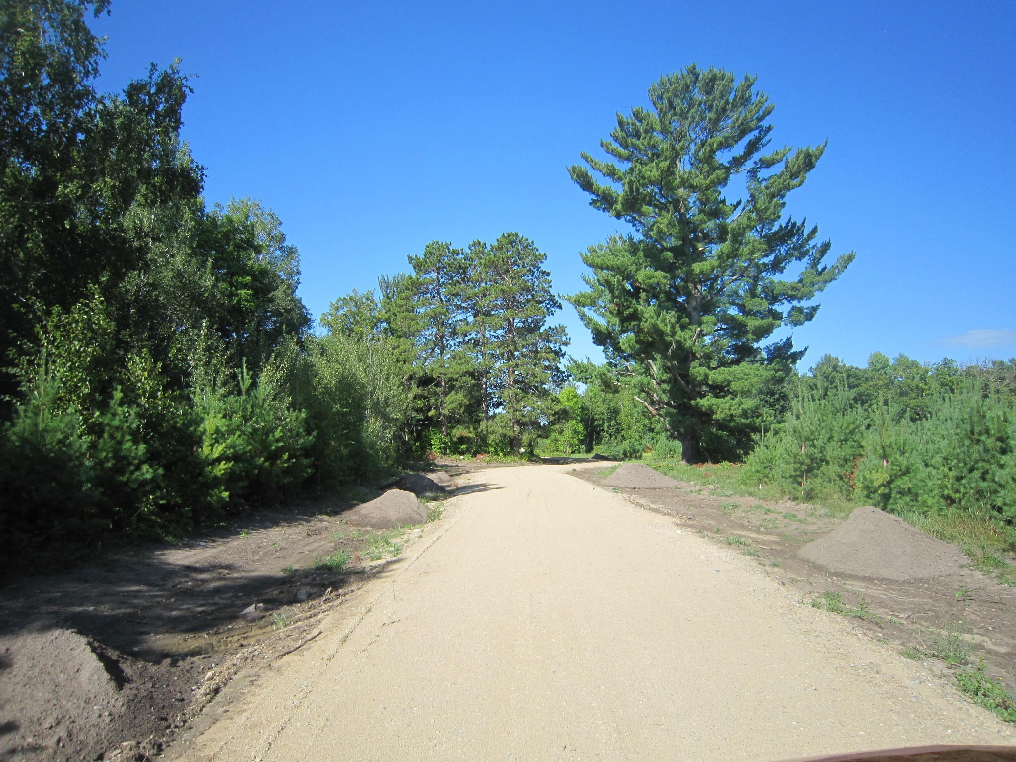 land for sale at Lot 4, Blk 1 Parklands Lane NW in Laporte, MN (photo 6 of 11)