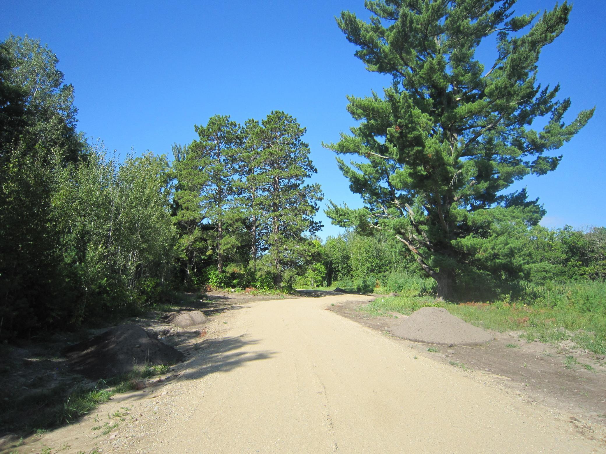 land for sale at Lot 4, Blk 1 Parklands Lane NW in Laporte, MN (photo 7 of 11)