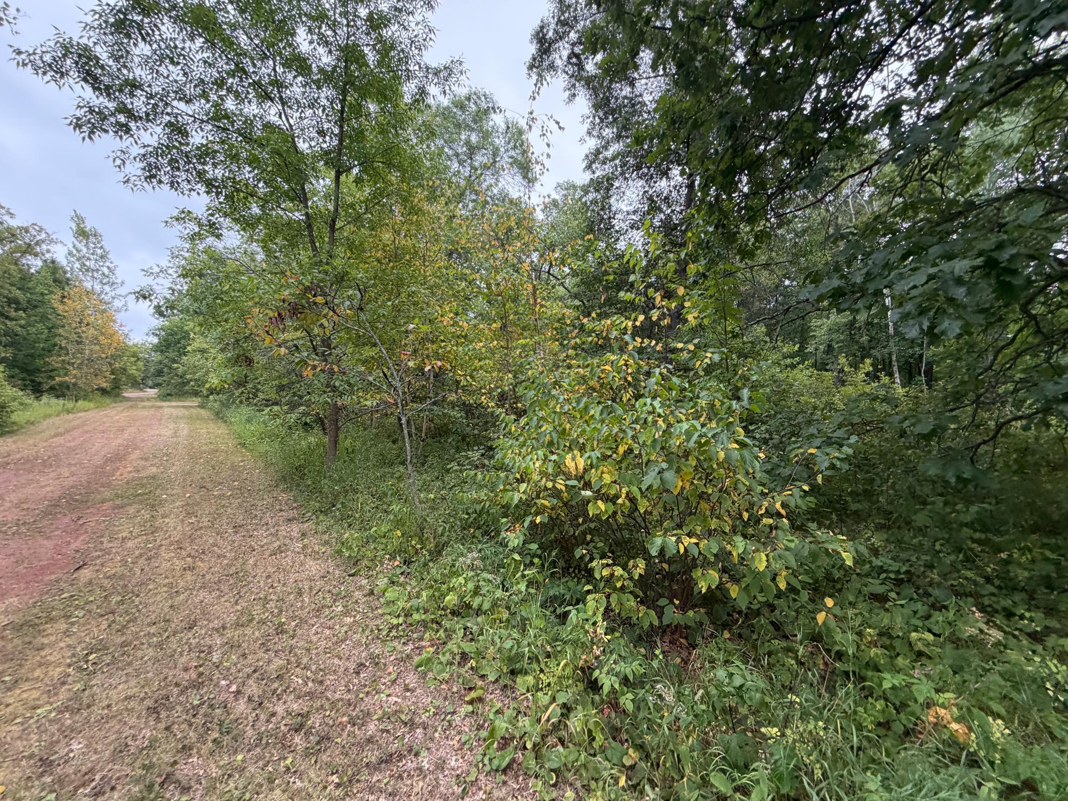 land for sale at Lot 1 Whitetail in Crosby, MN (photo 4 of 5)