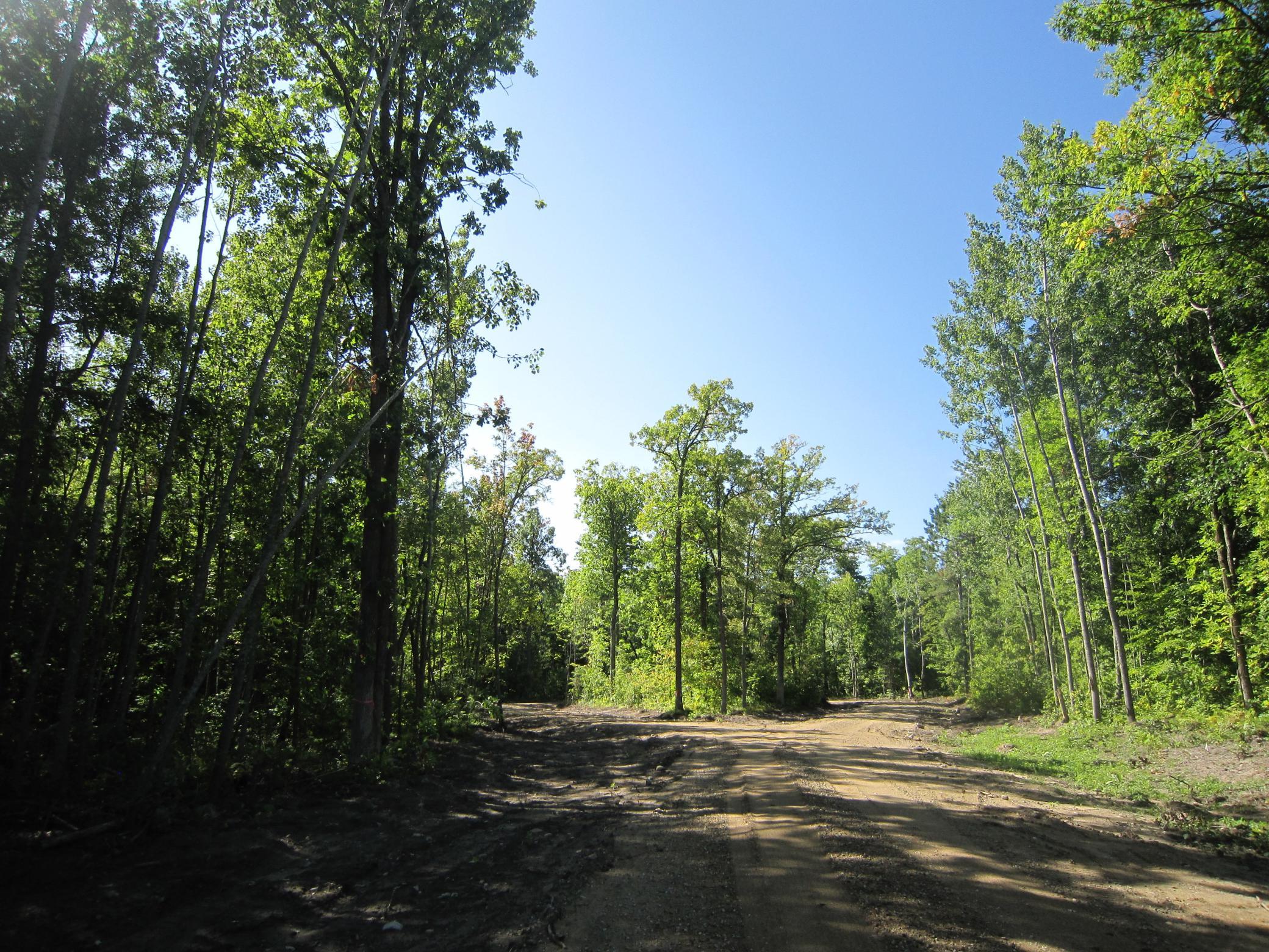 land for sale at Lot 5, Blk 1 Parklands Lane NW in Laporte, MN (photo 10 of 11)