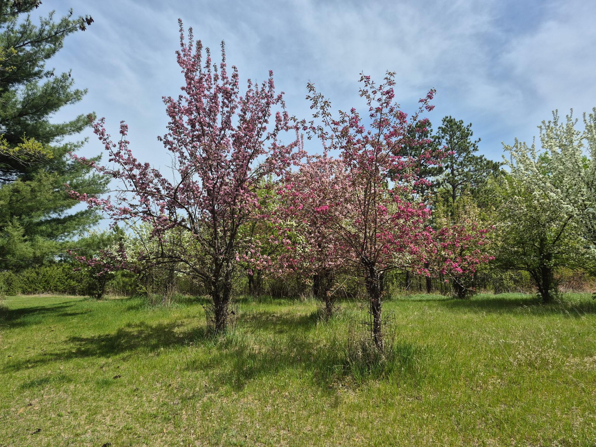 1973 single family home for sale at 13062 230th Street in Park Rapids, MN — 4 bed, 3 bath (photo 46 of 54)