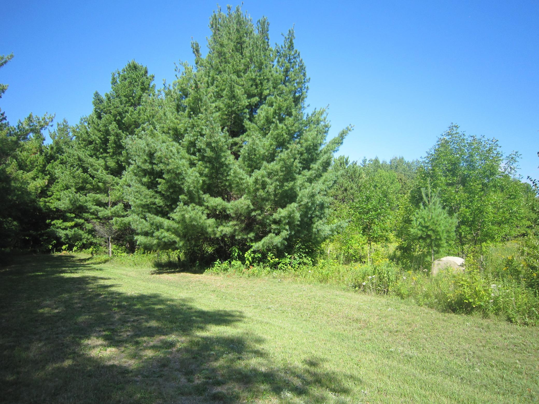 land for sale at Lot 1, Blk 1 Parklands Lane NW in Laporte, MN (photo 11 of 16)