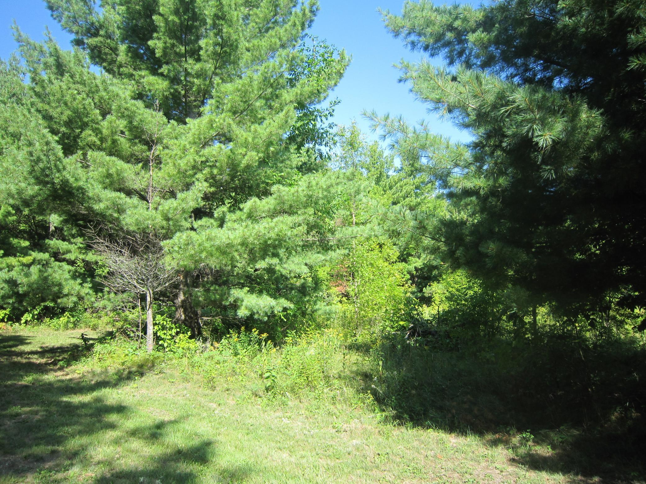 land for sale at Lot 1, Blk 1 Parklands Lane NW in Laporte, MN (photo 13 of 16)