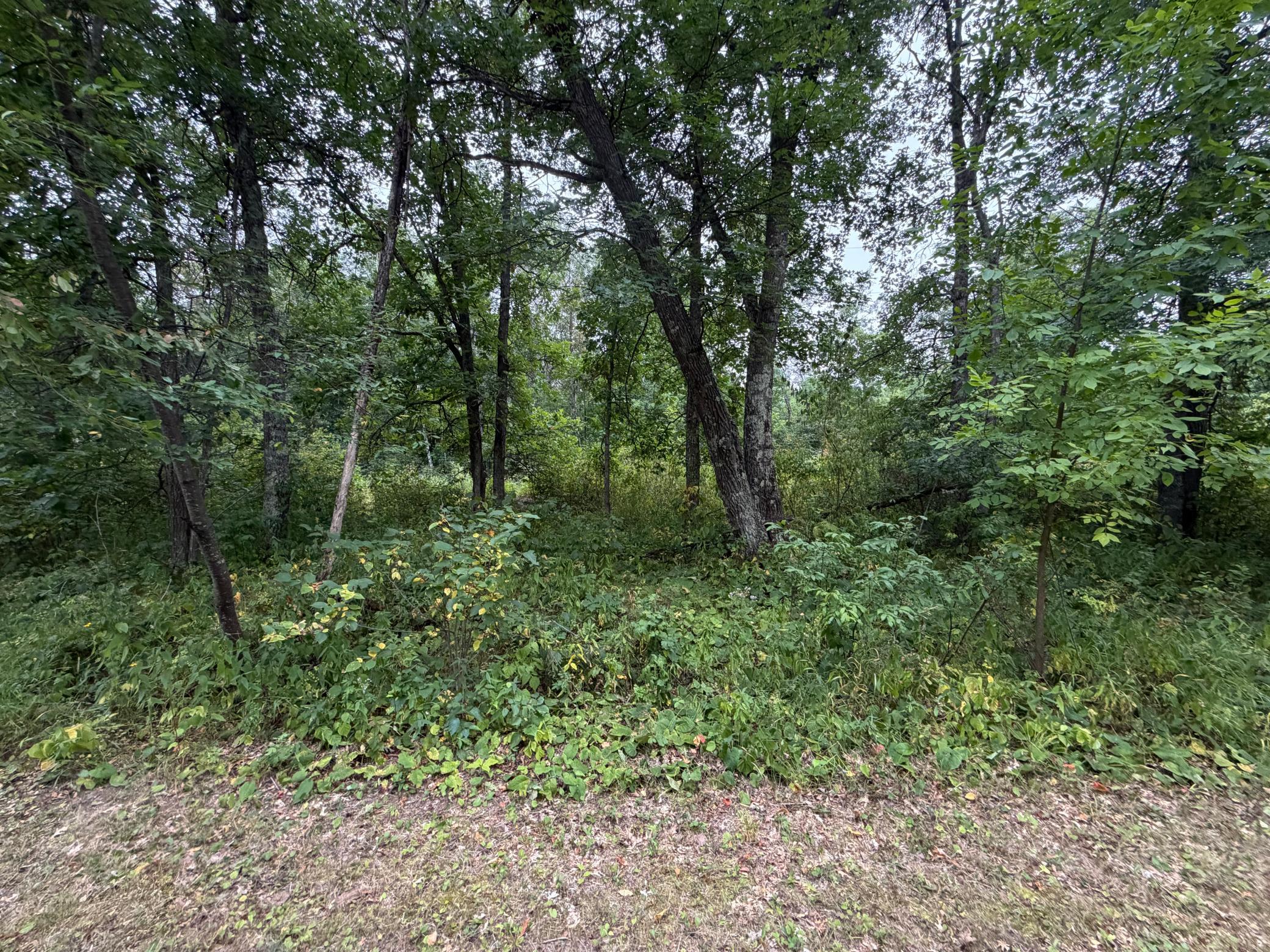 land for sale at Lot 2 Whitetail in Crosby, MN (photo 4 of 5)