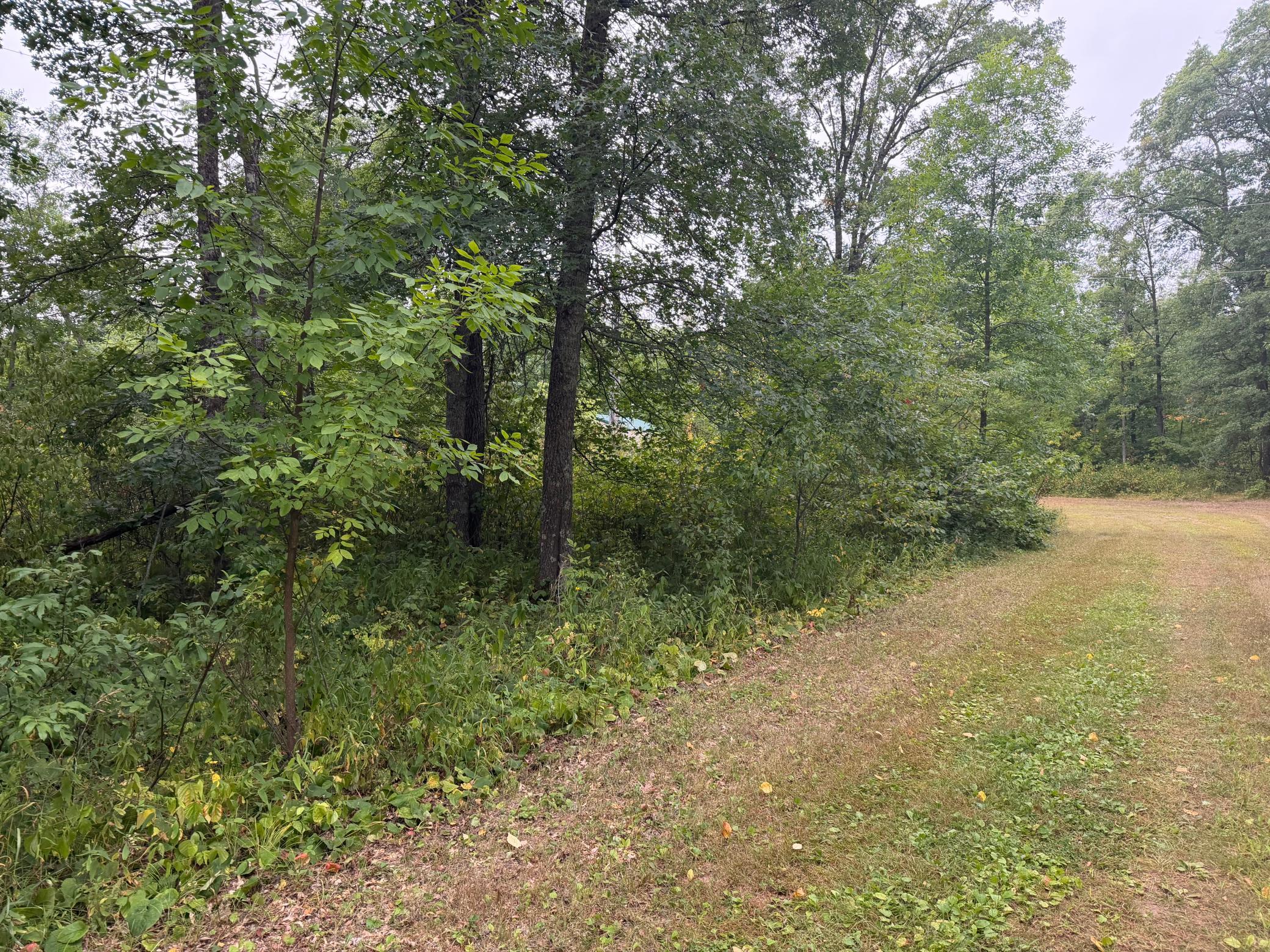 land for sale at Lot 2 Whitetail in Crosby, MN (photo 5 of 5)
