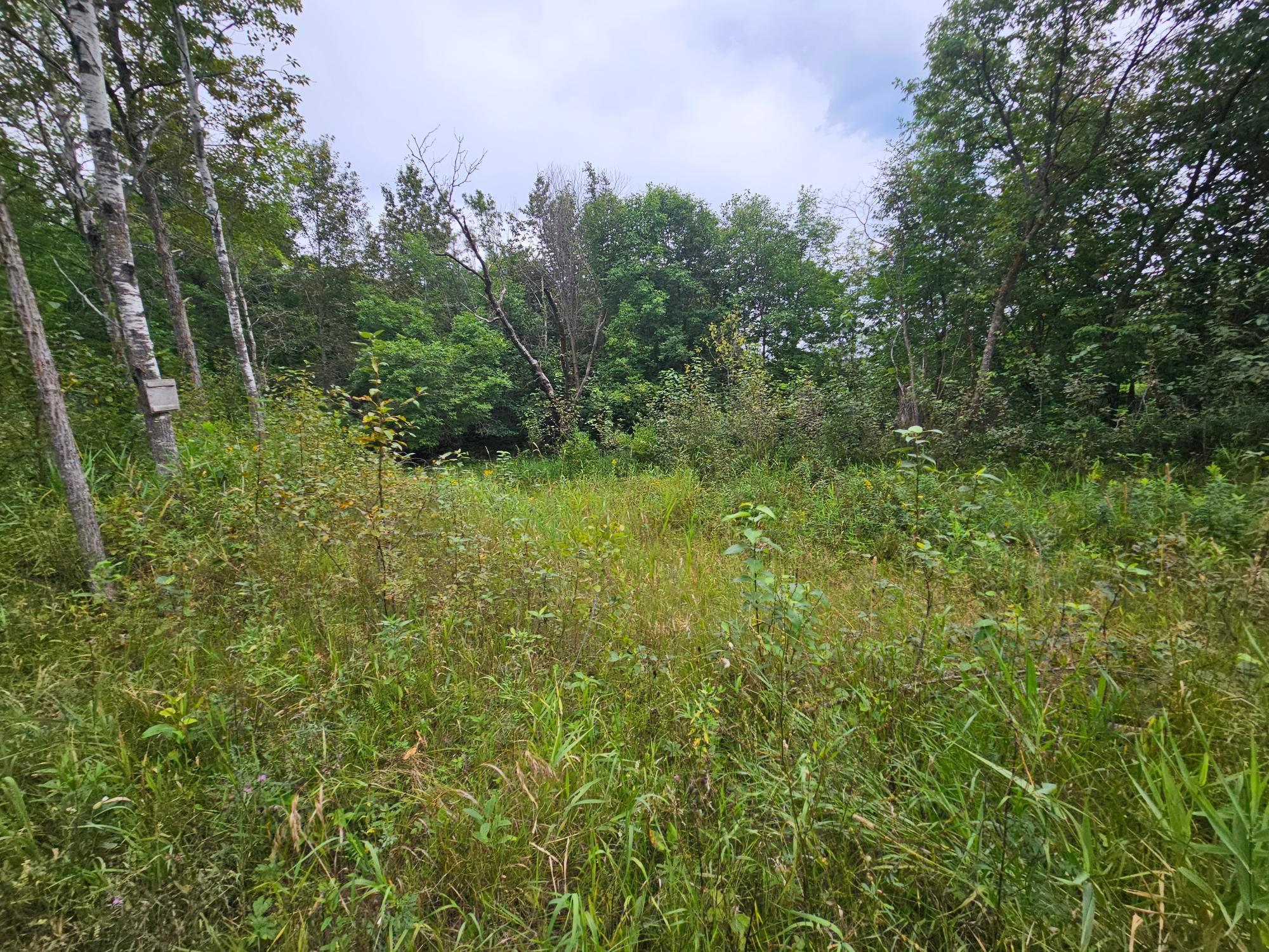 land for sale at tbd Moose River Road E in Grygla, MN (photo 3 of 3)
