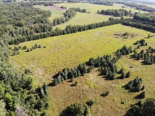 TBD 190th Street, Wadena MN 56482 - Photo 11 of 12