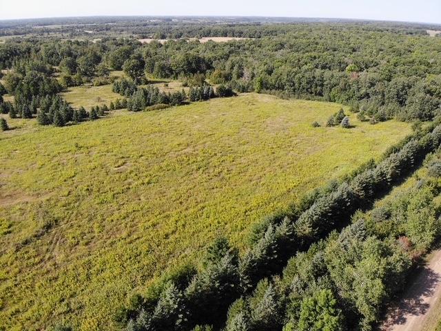 TBD 190th Street, Wadena MN 56482 - Photo 3 of 12